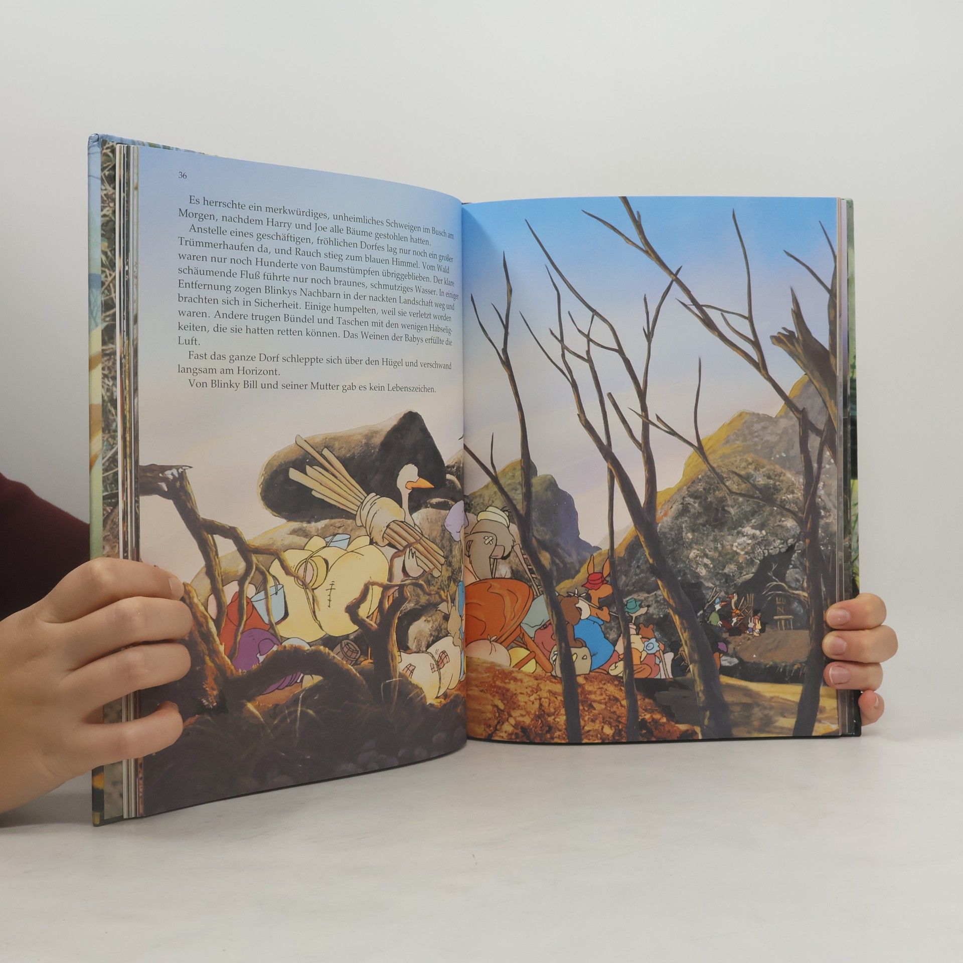 kolektiv Blinky Bill und seine spannenden Abenteuer
