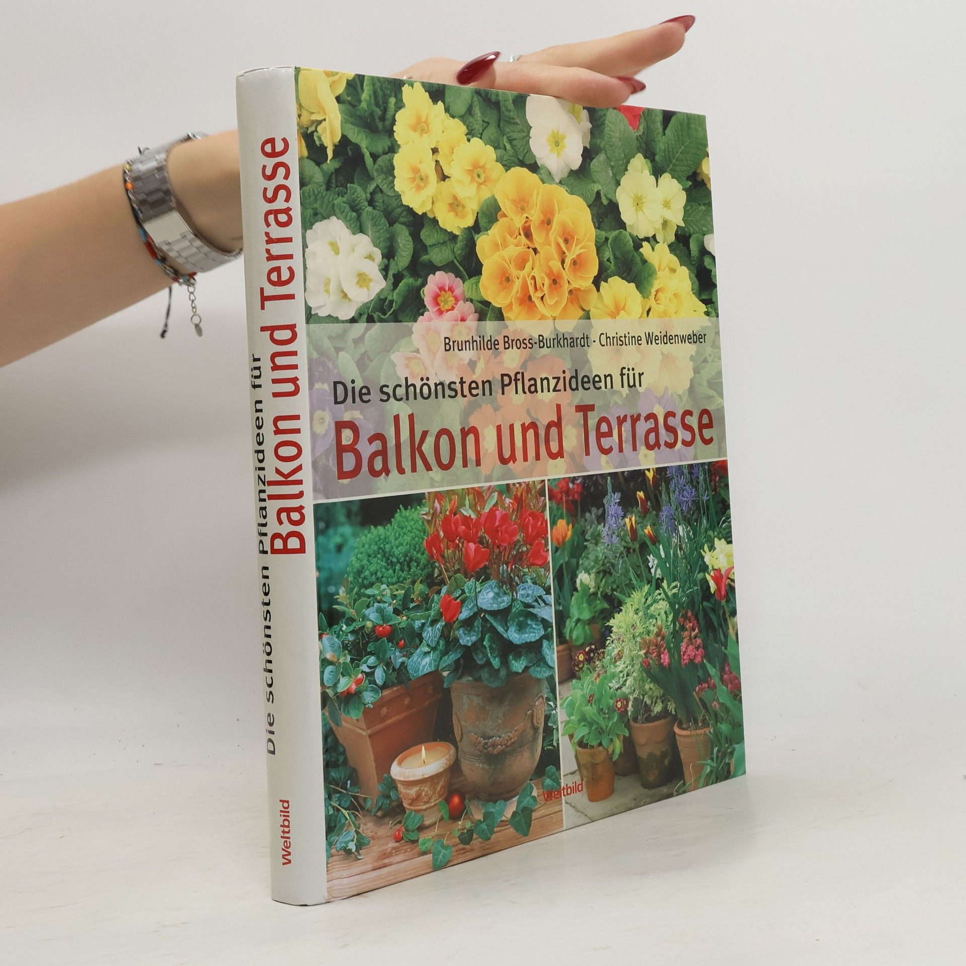 Brunhilde Bross Burkhardt Die schönsten Pflanzideen für Balkon und Terrasse