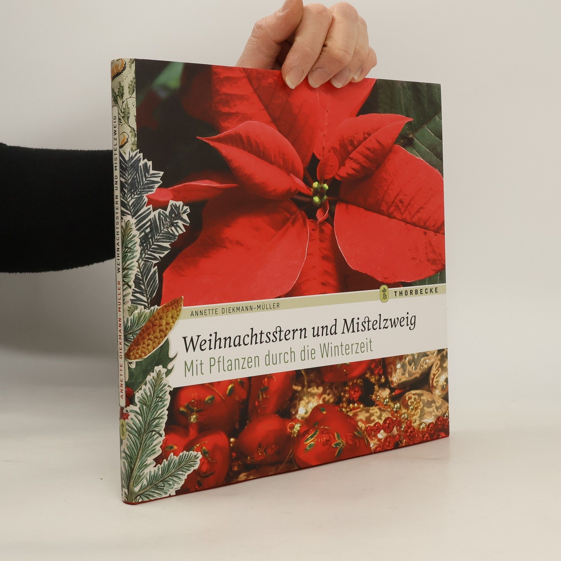 Annette Diekmann-Müller Weihnachtsstern und Mistelzweig
