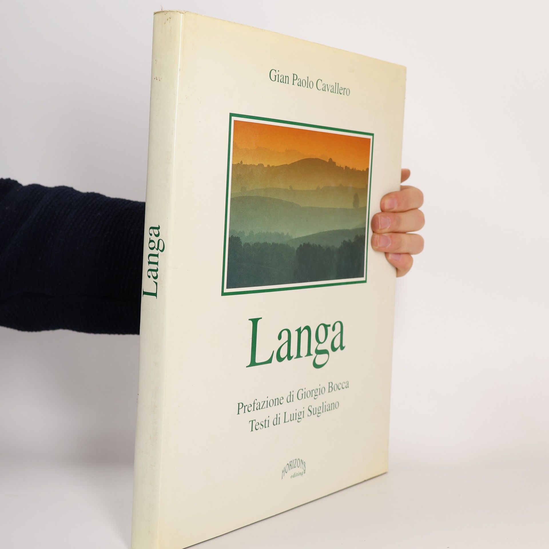 Gian Paolo Cavallero Langa