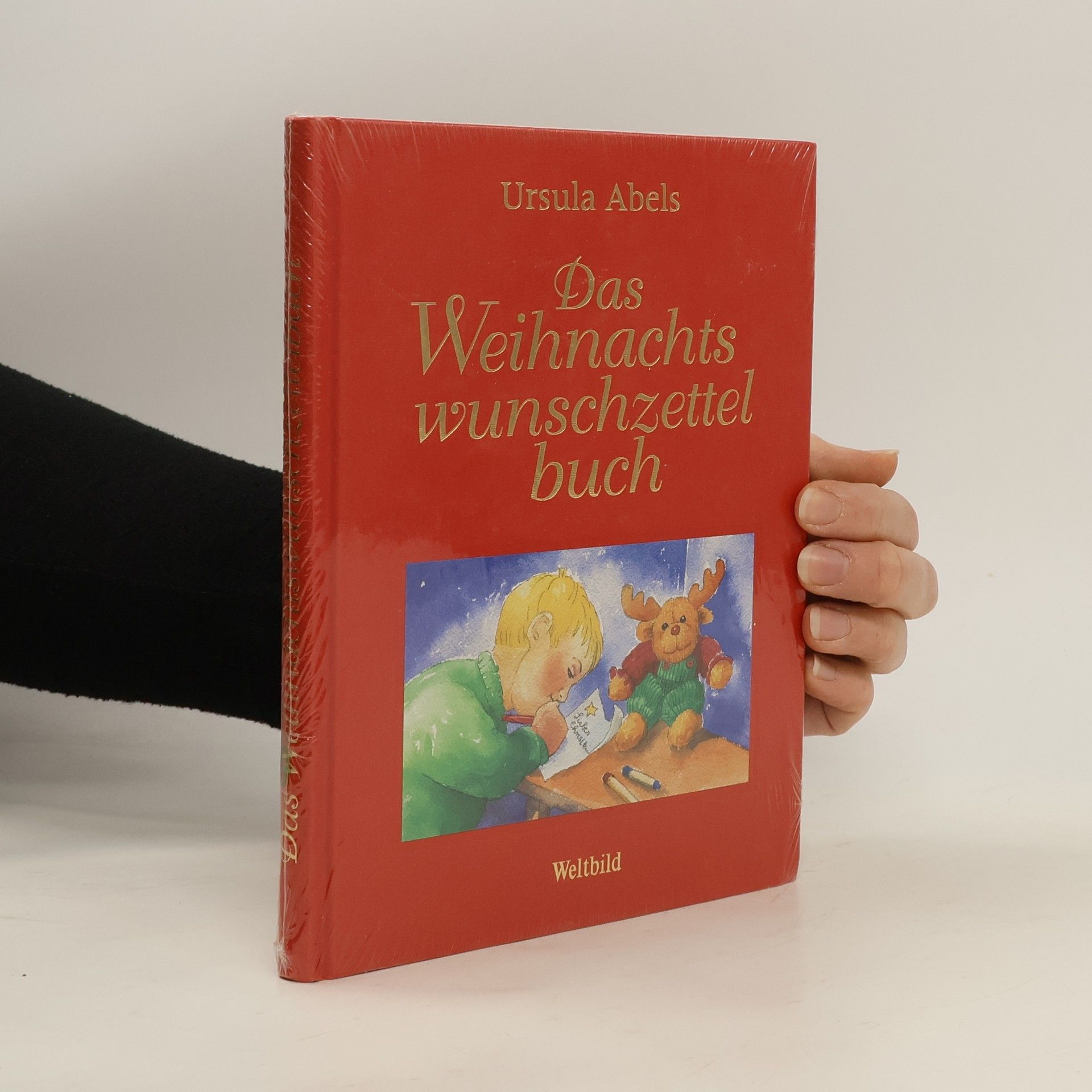 AA.VV. Das Weihnachtswunschzettelbuch