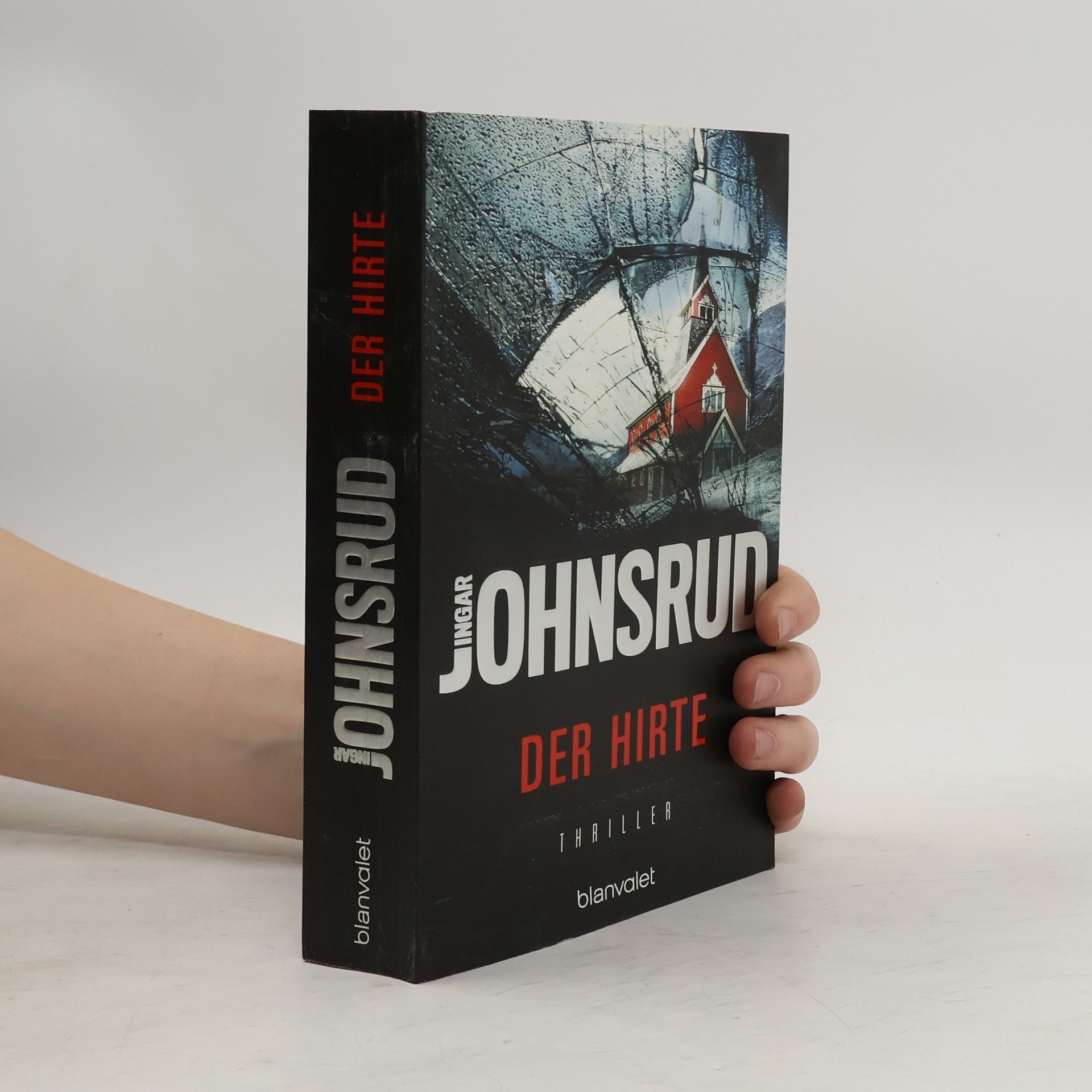 Ingar Johnsrud Der Hirte