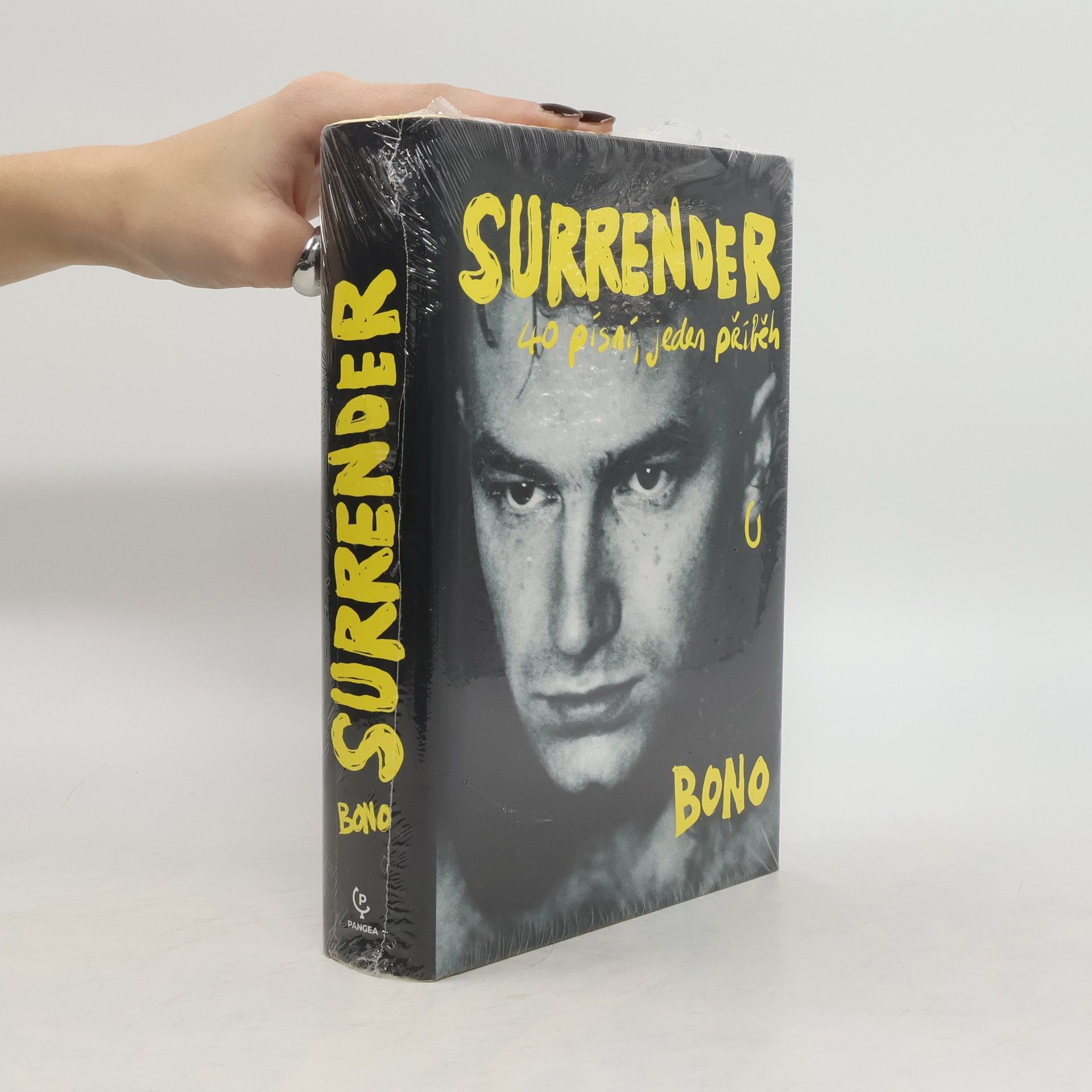 Surrender : 40 písní, jeden příběh