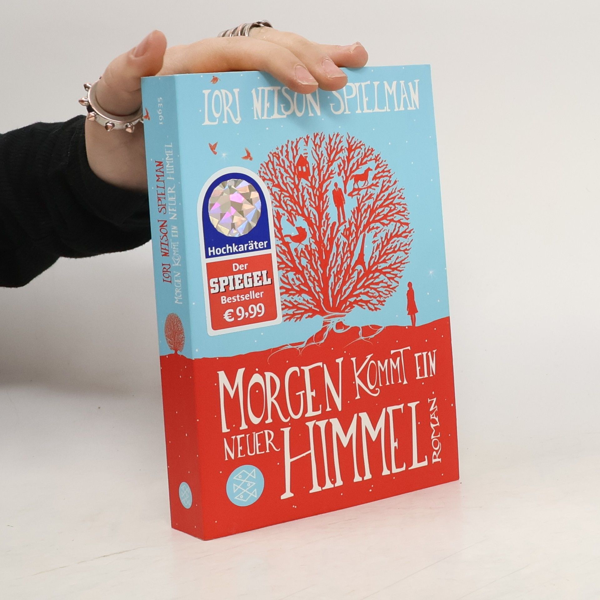 Lori Nelson Spielman Morgen kommt ein neuer Himmel