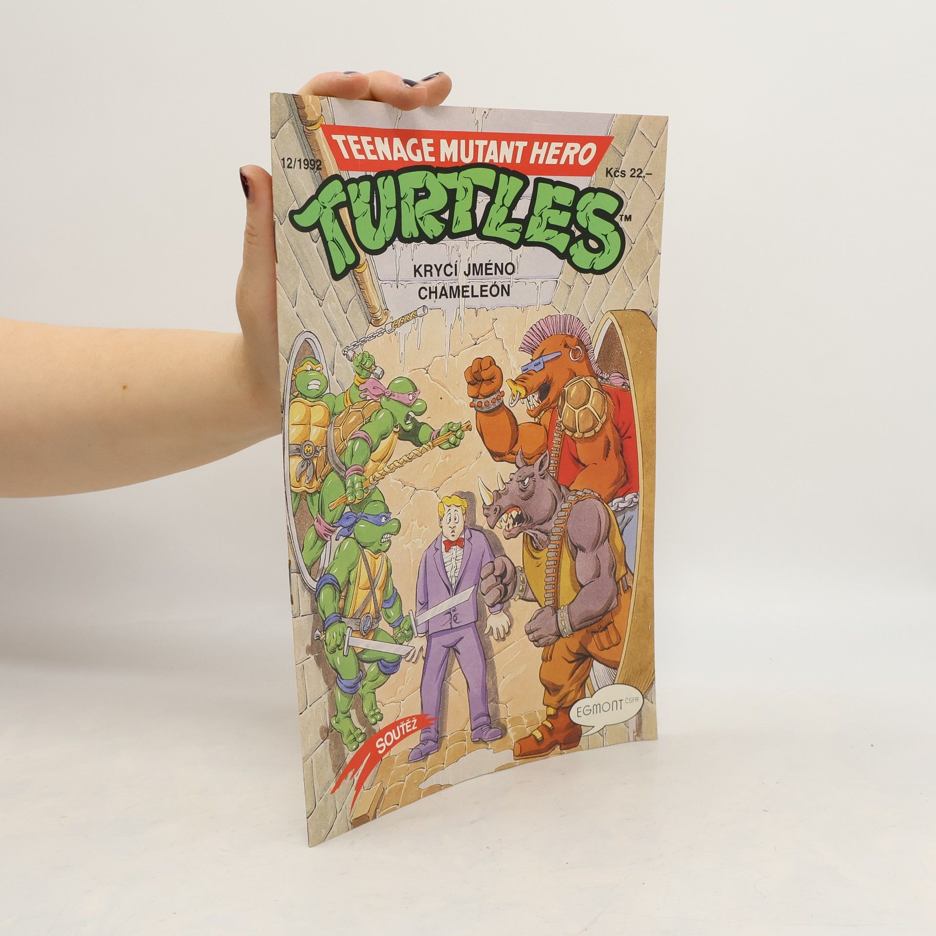 Teenage Mutant Hero Turtles #12