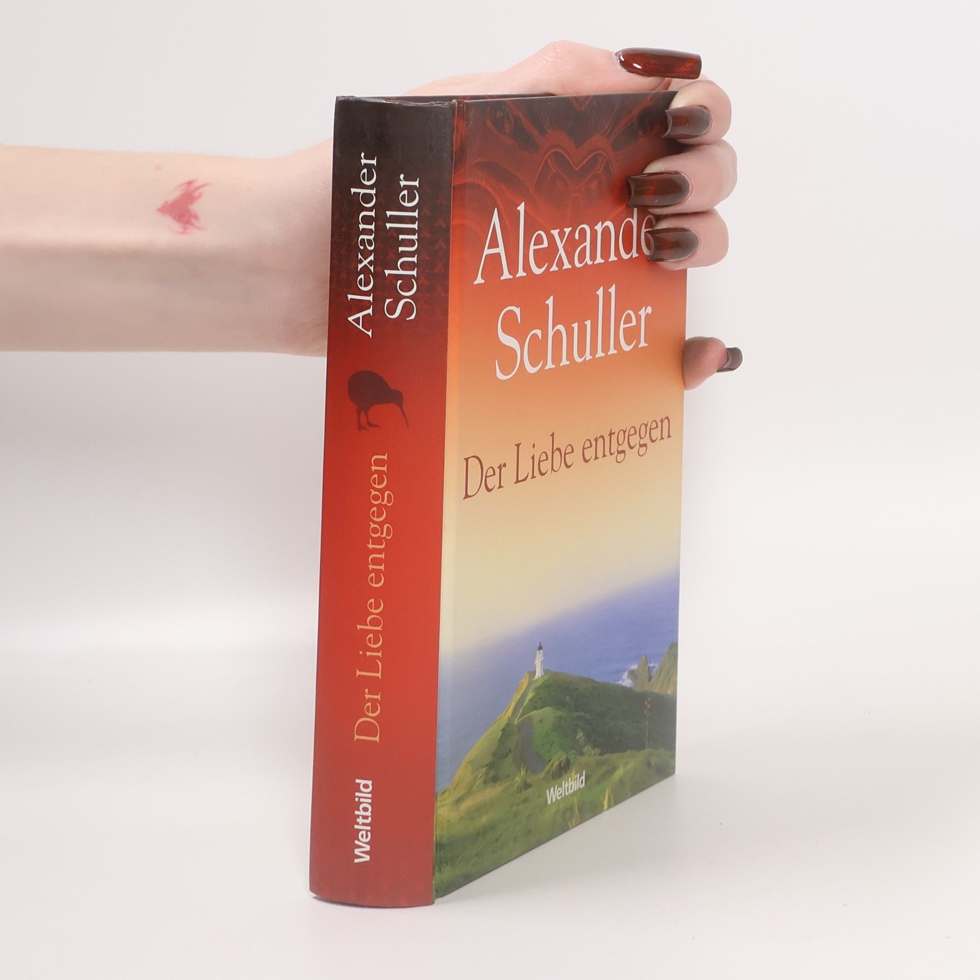 Alexander Schuller Der Liebe entgegen