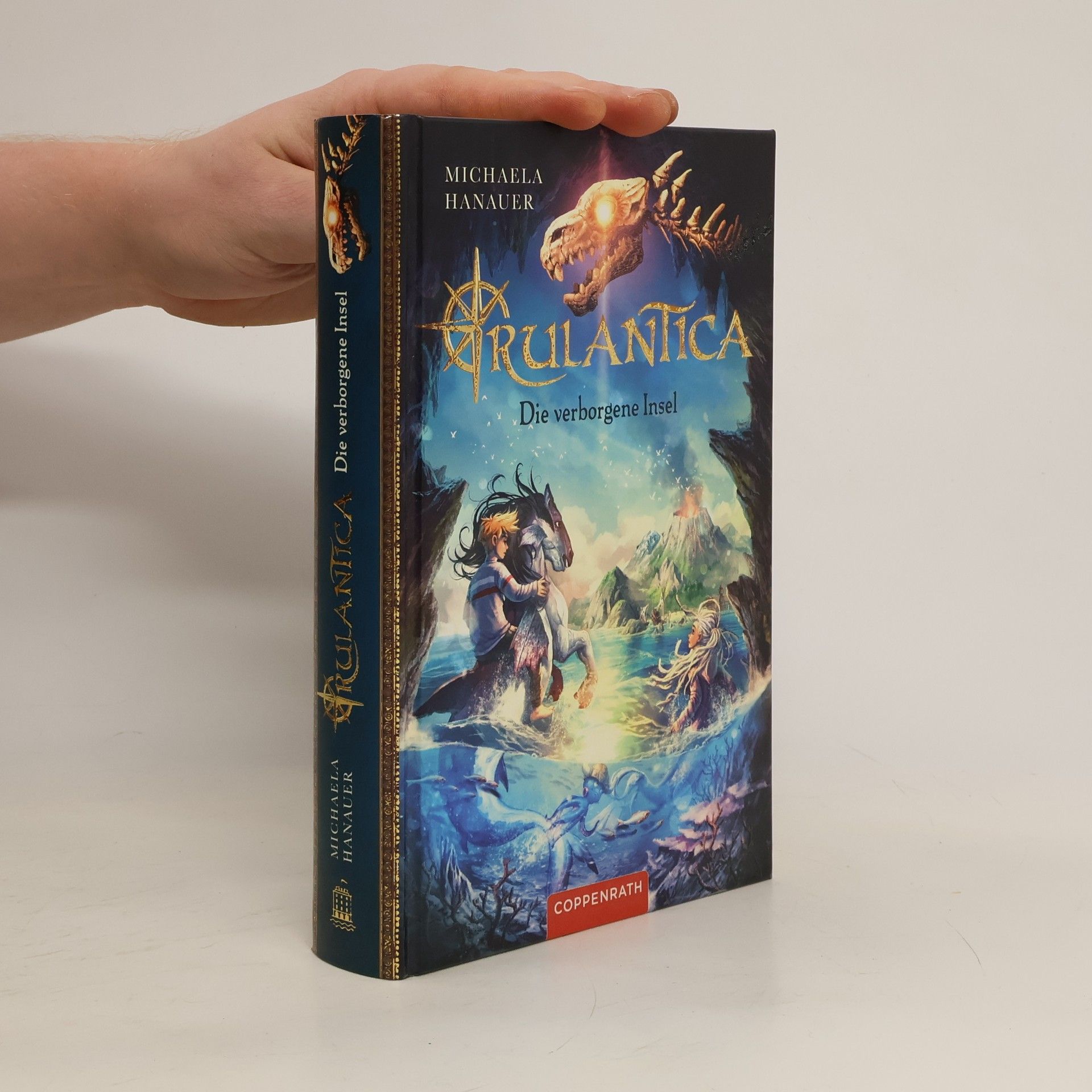 Michaela Hanauer Die verborgene Insel