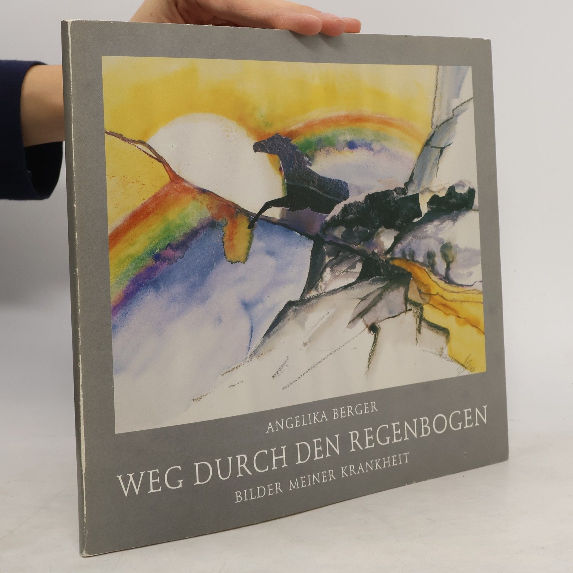 Angelika Berger Weg durch den Regenbogen