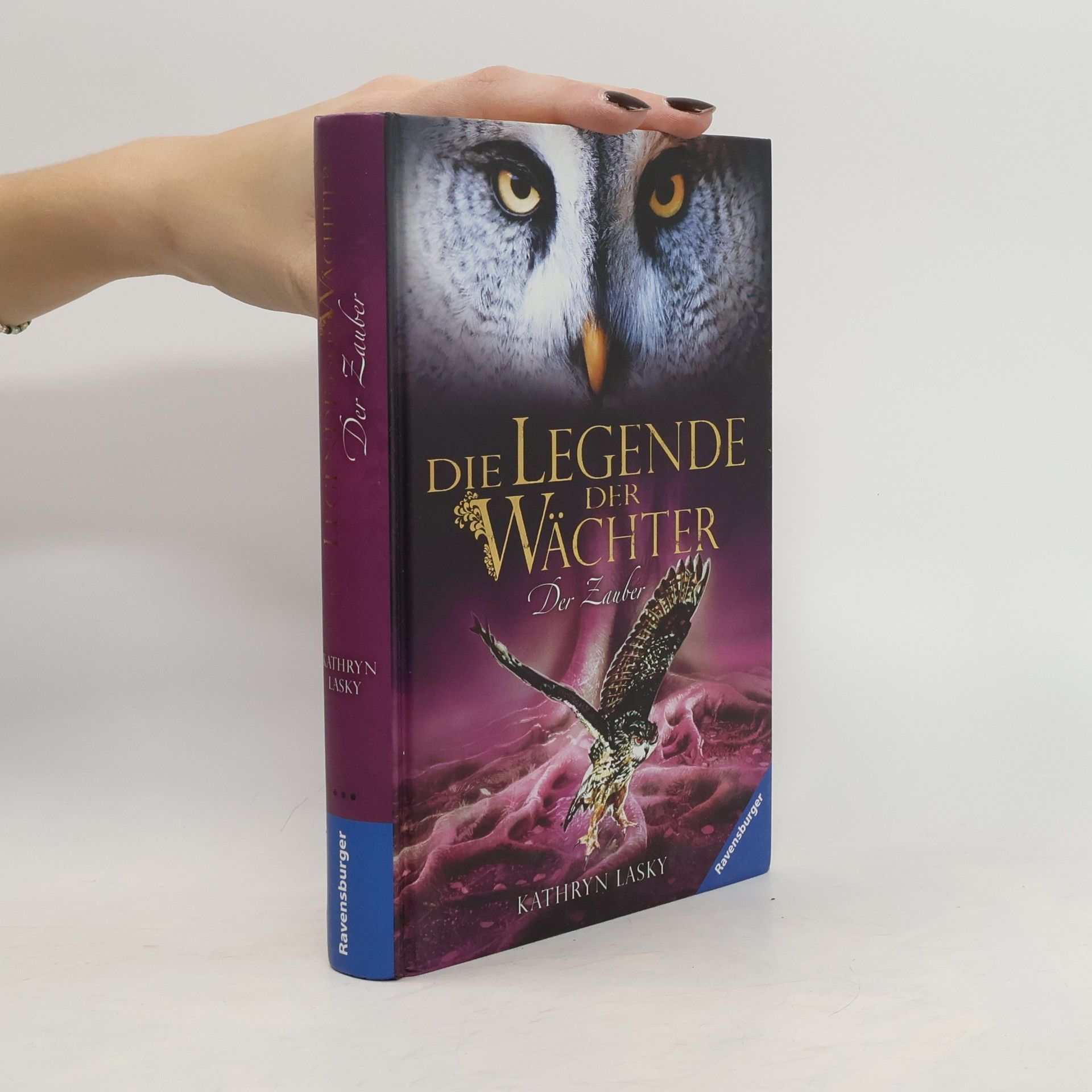 Die Legende der Wächter 12. Der Zauber