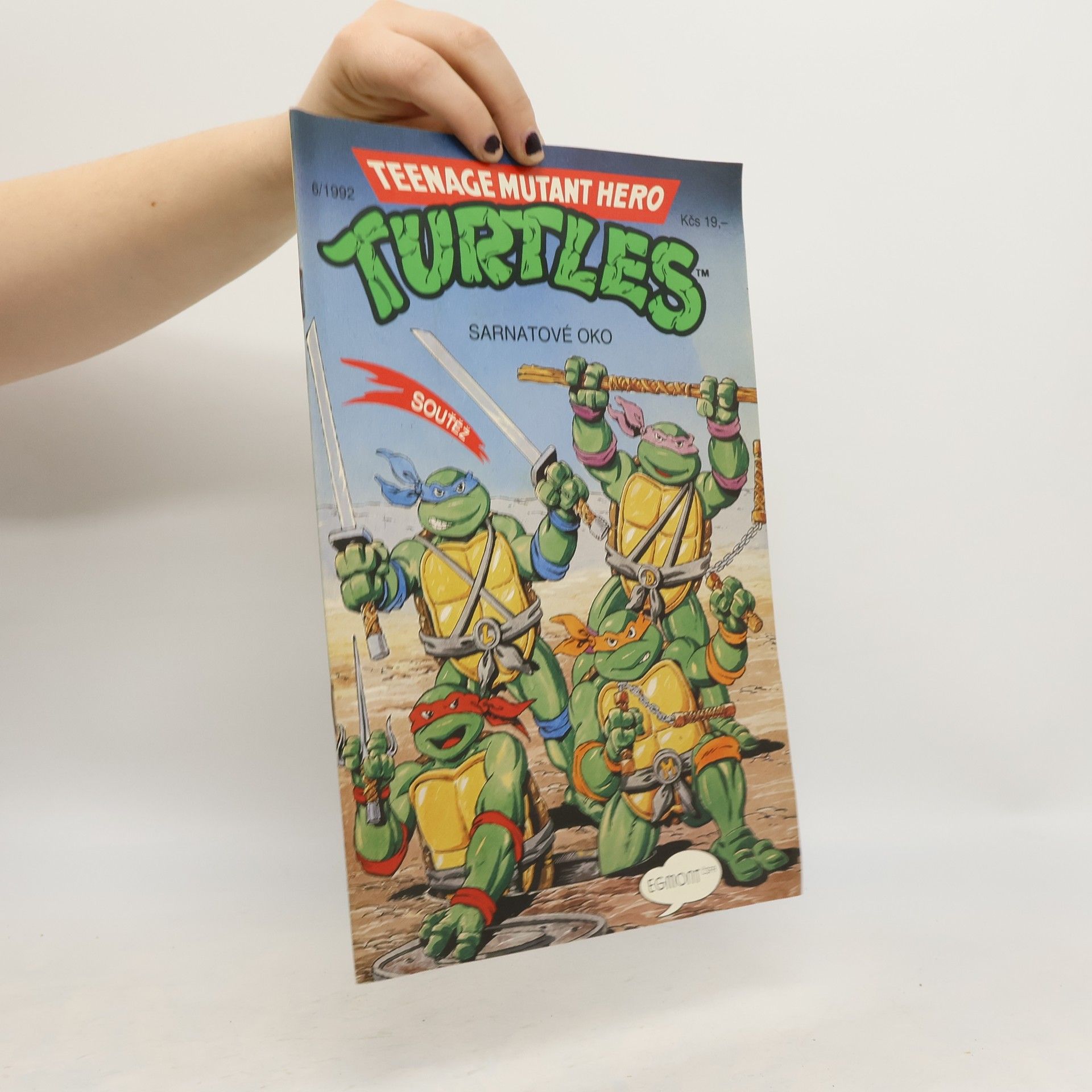 Teenage Mutant Hero Turtles #06