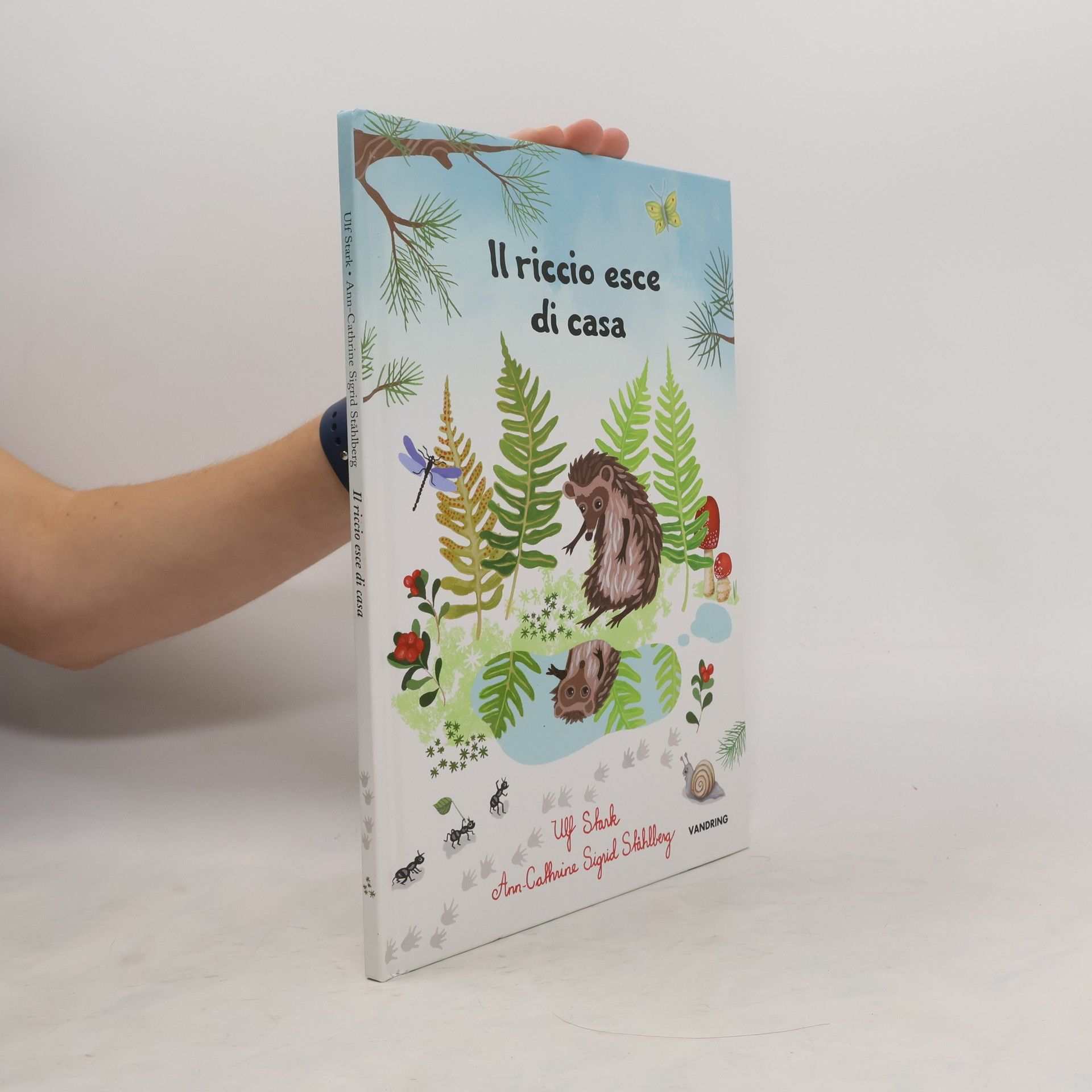 Collectif d'auteurs Il riccio esce di casa