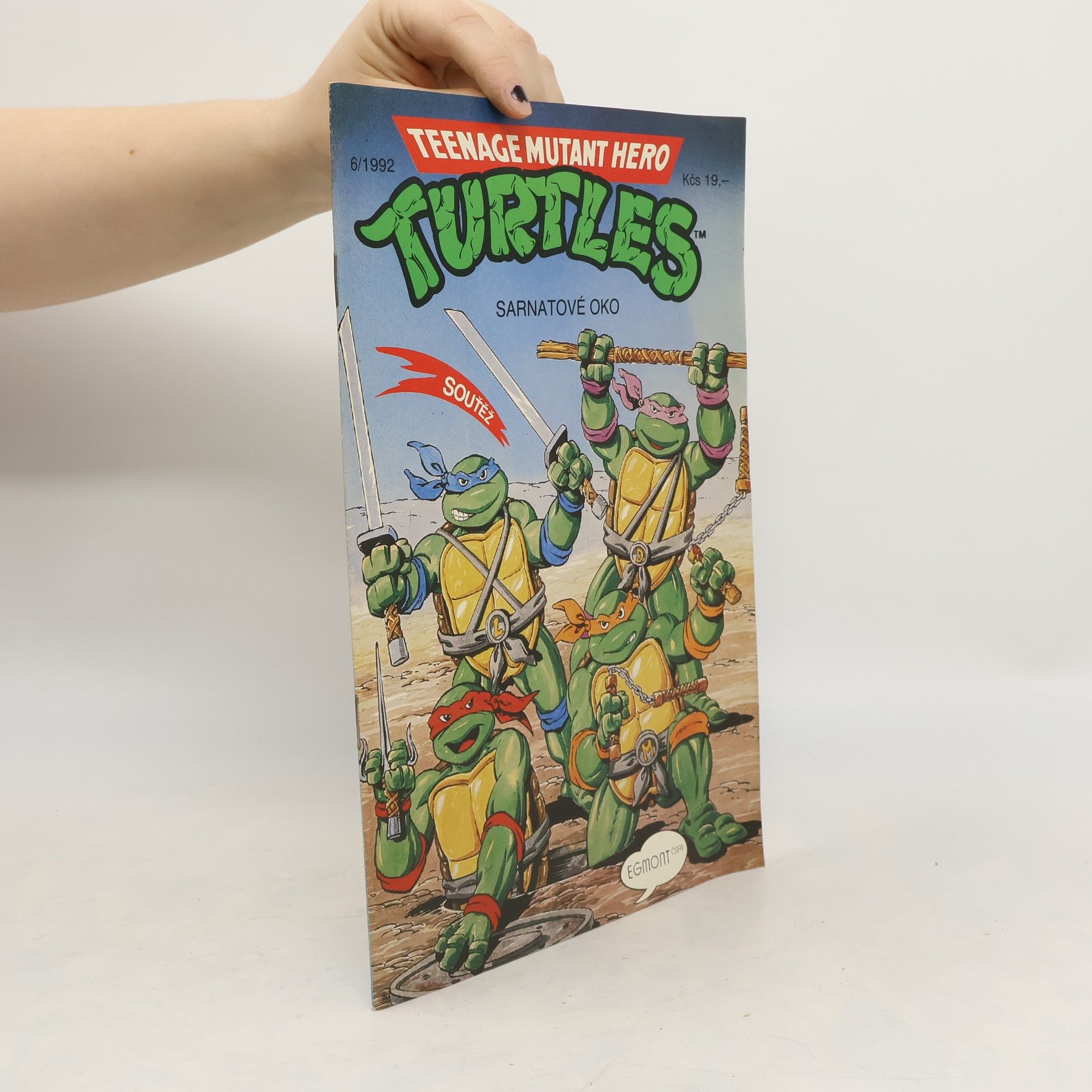 Teenage Mutant Hero Turtles #06