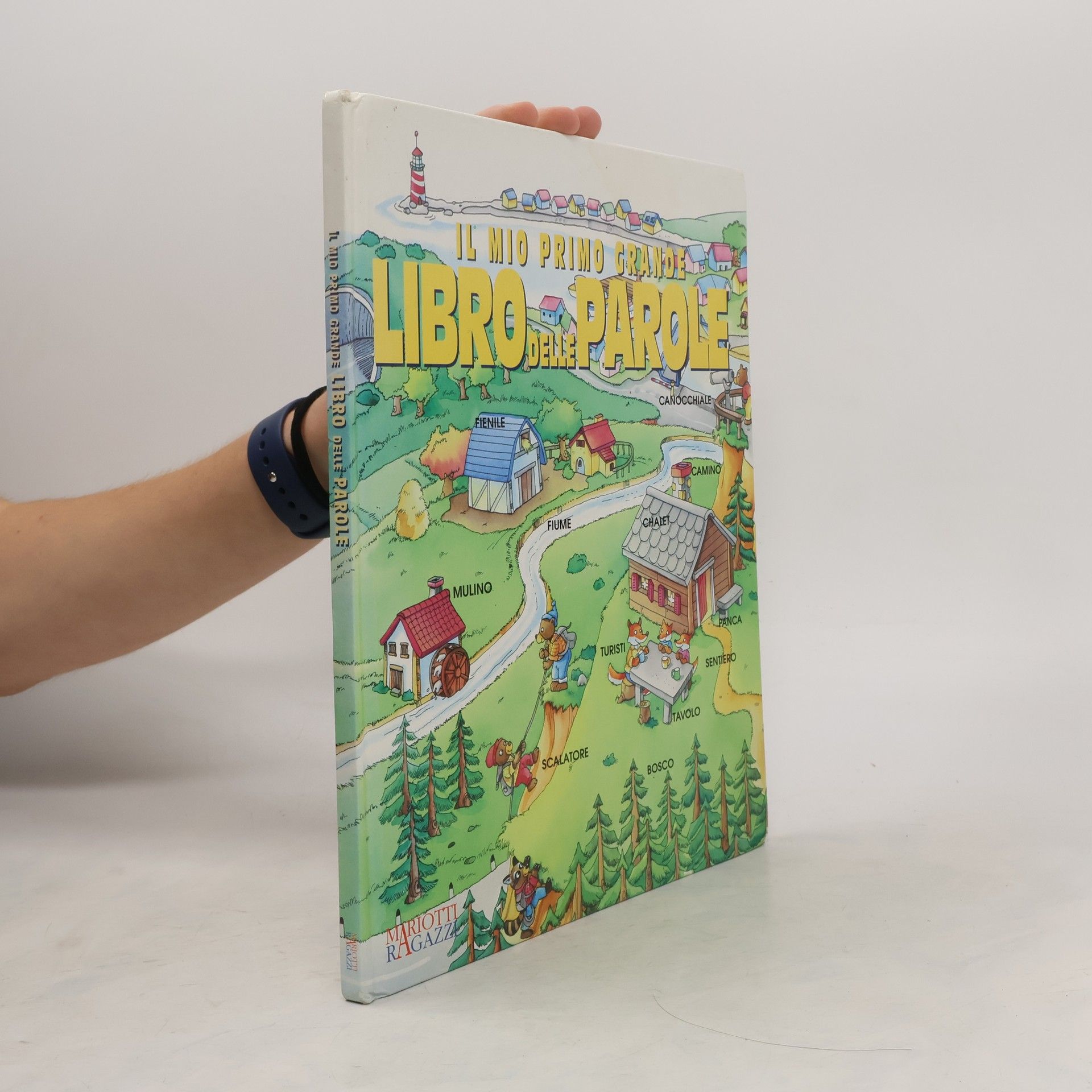 AA.VV. Il mio primo grande libro delle parole