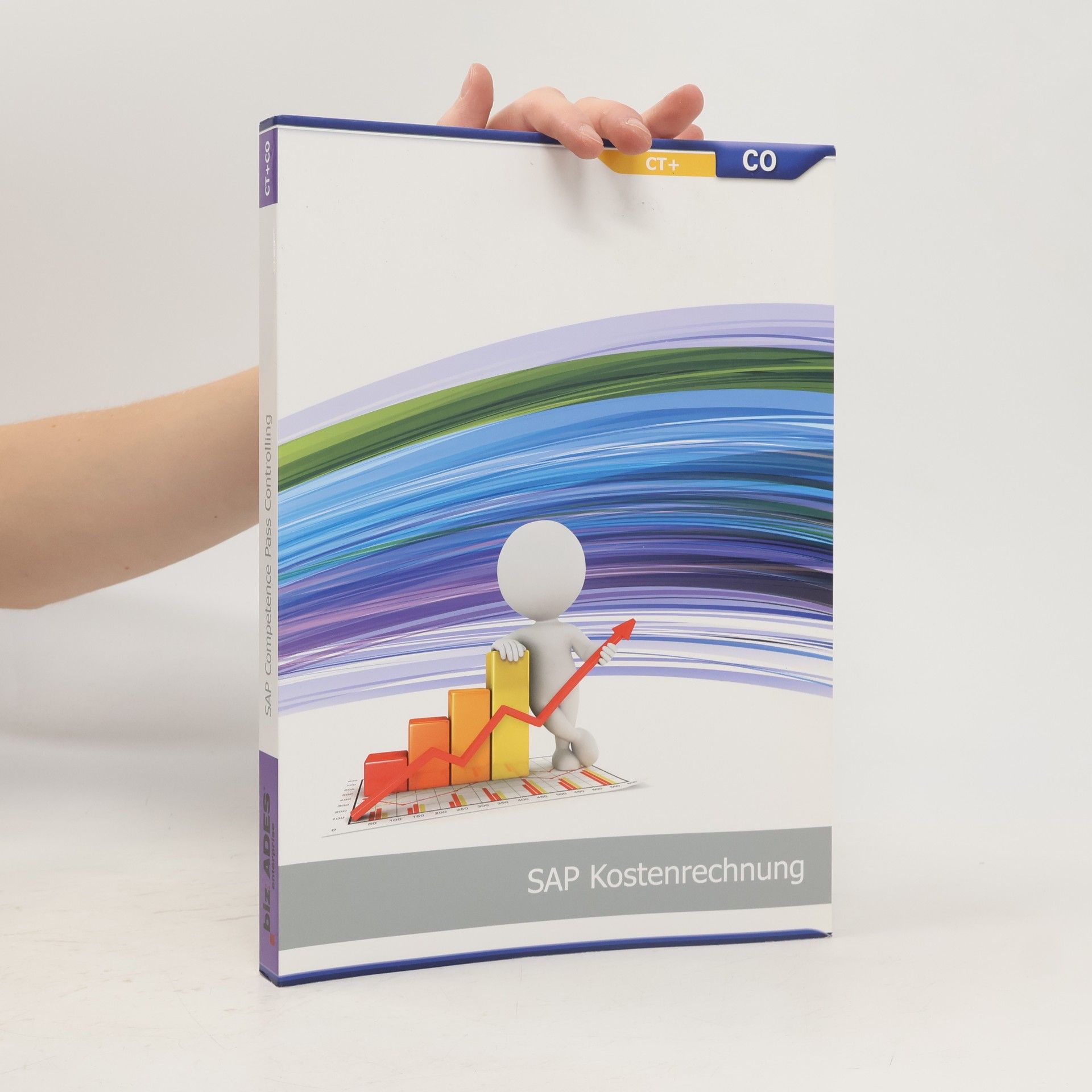 AA.VV. SAP Kostenrechnung