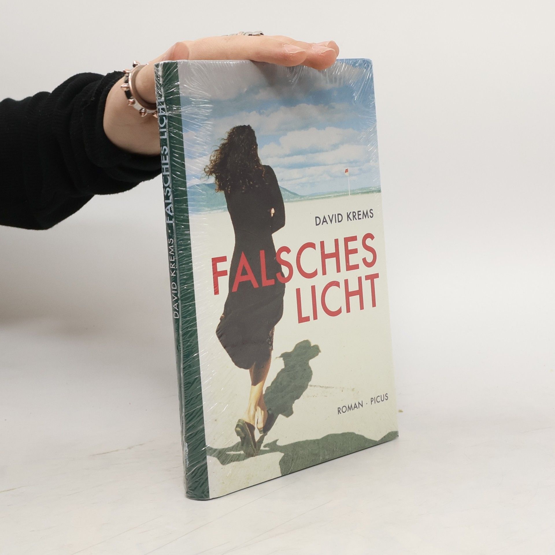 David Krems Falsches Licht