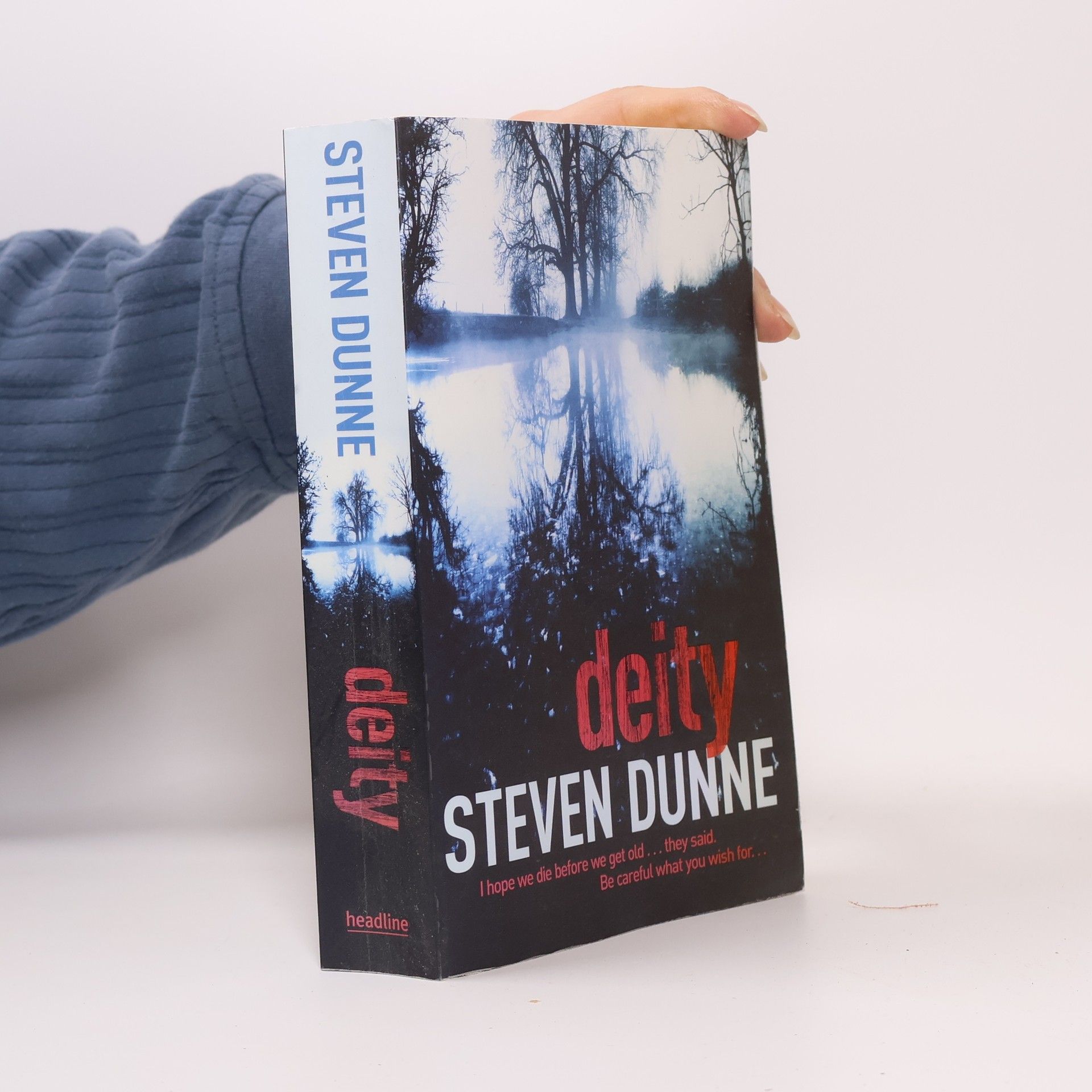 Steven Dunne Deity (DI Damen Brook 3)