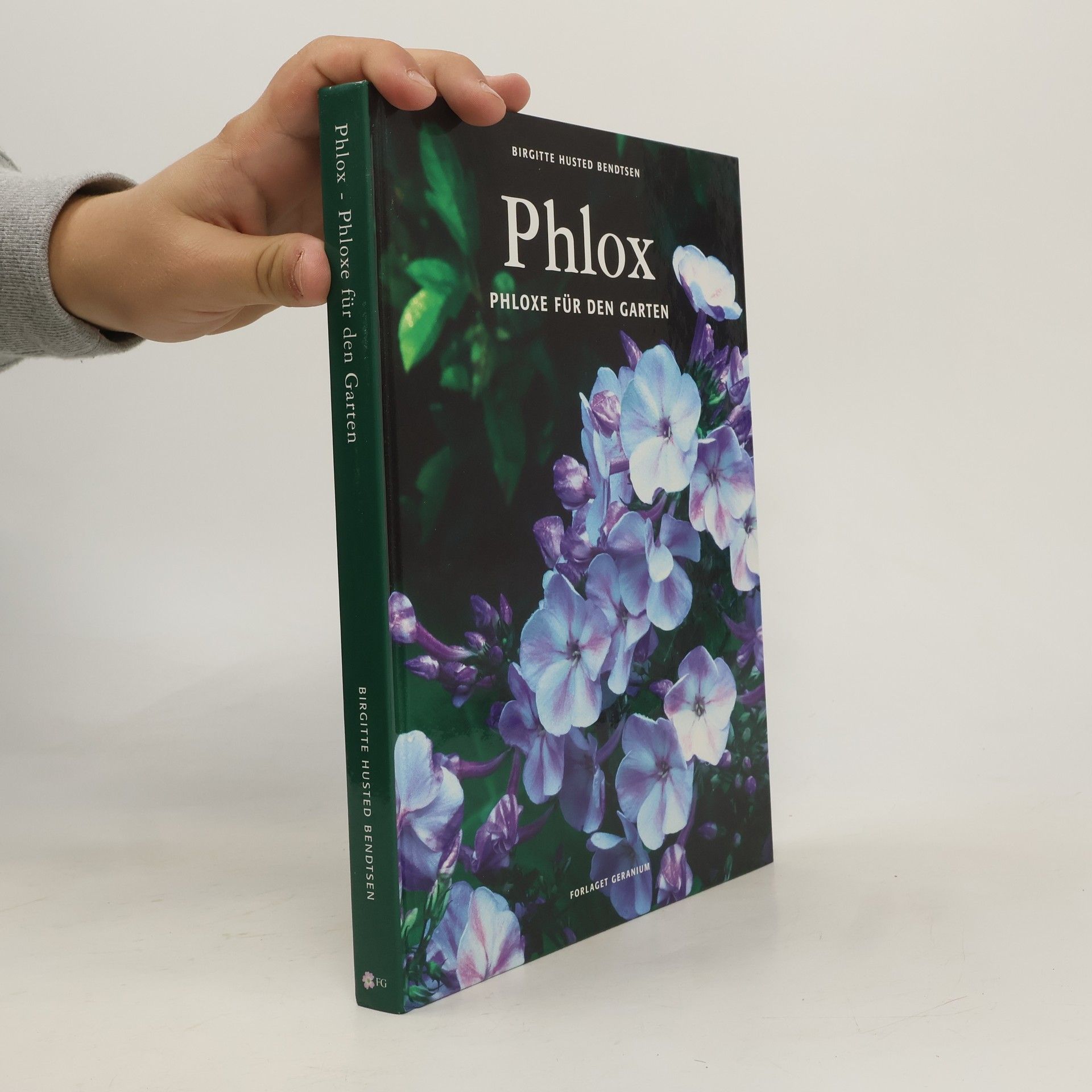 Phlox