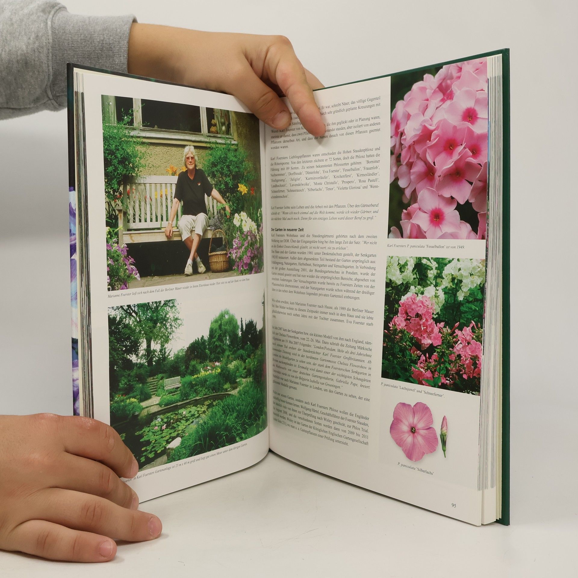 Birgitte Husted Bendtsen Phlox