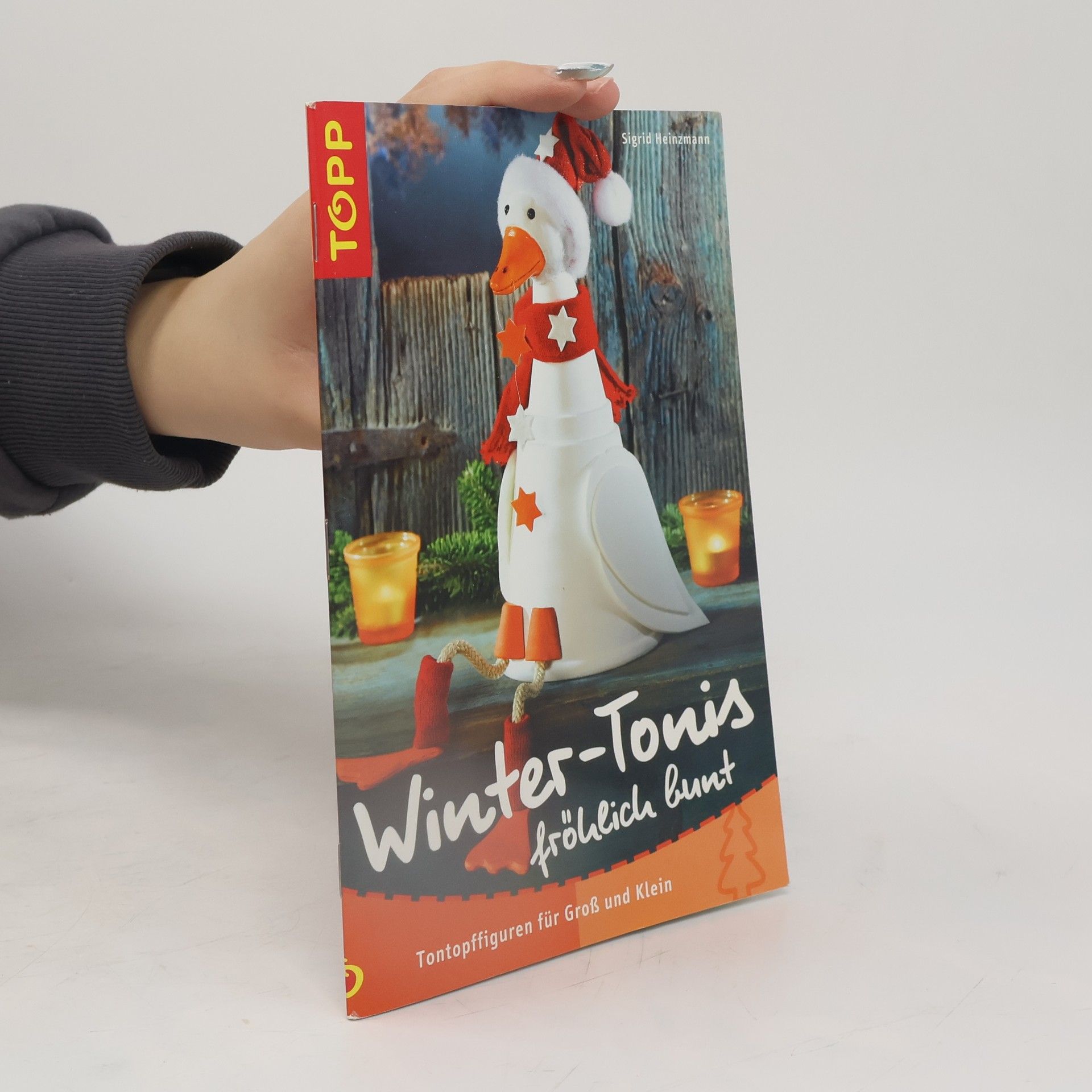 Sigrid Heinzmann Winter-Tonis fröhlich bunt