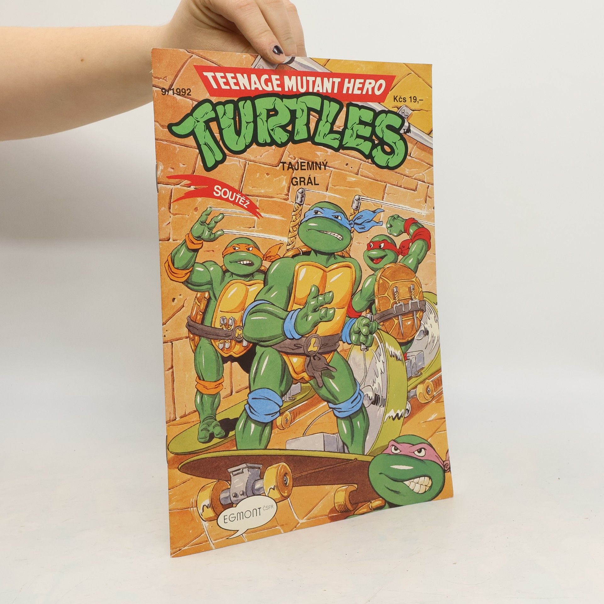 Teenage Mutant Hero Turtles #09