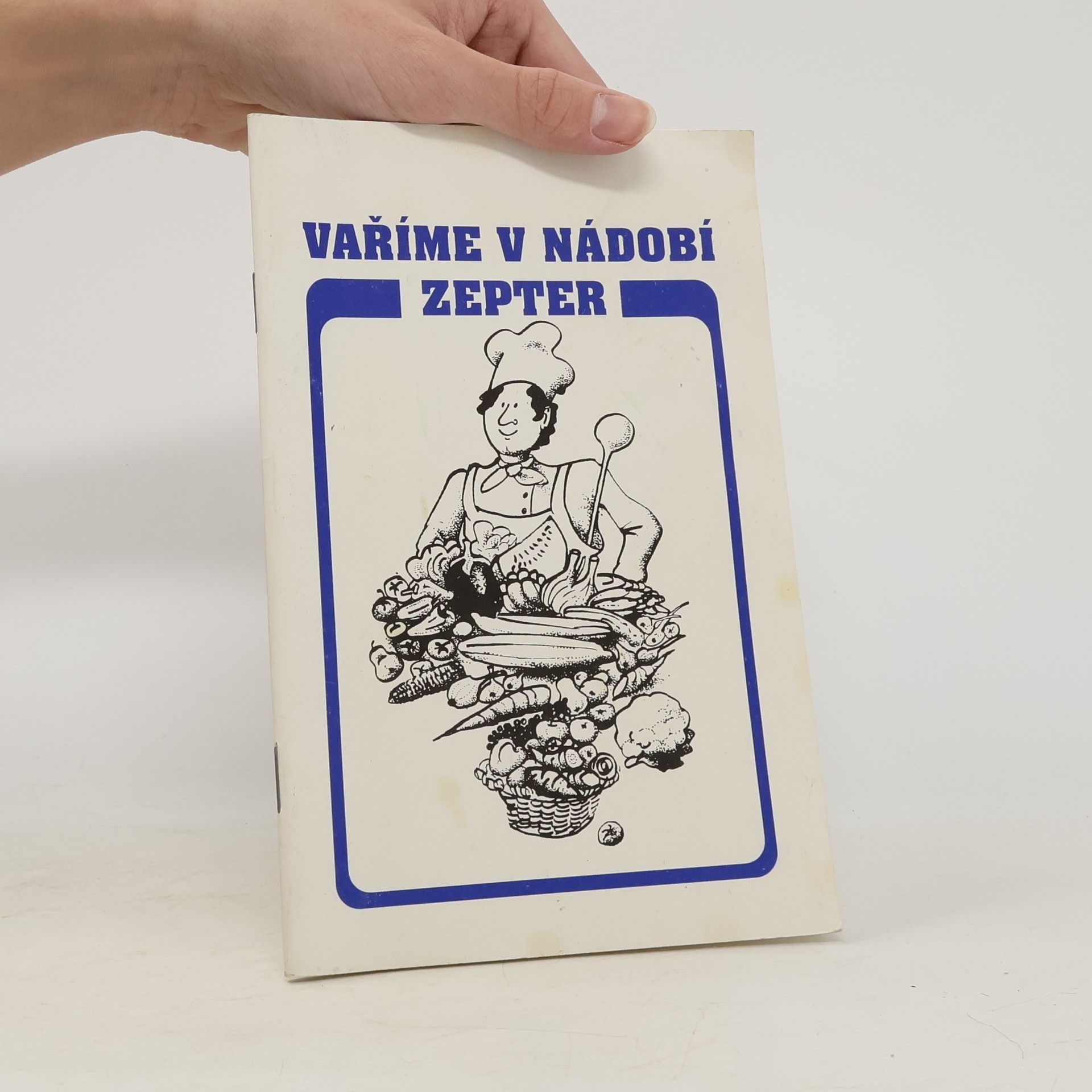 Jana Výletová Vaříme v nádobí Zepter