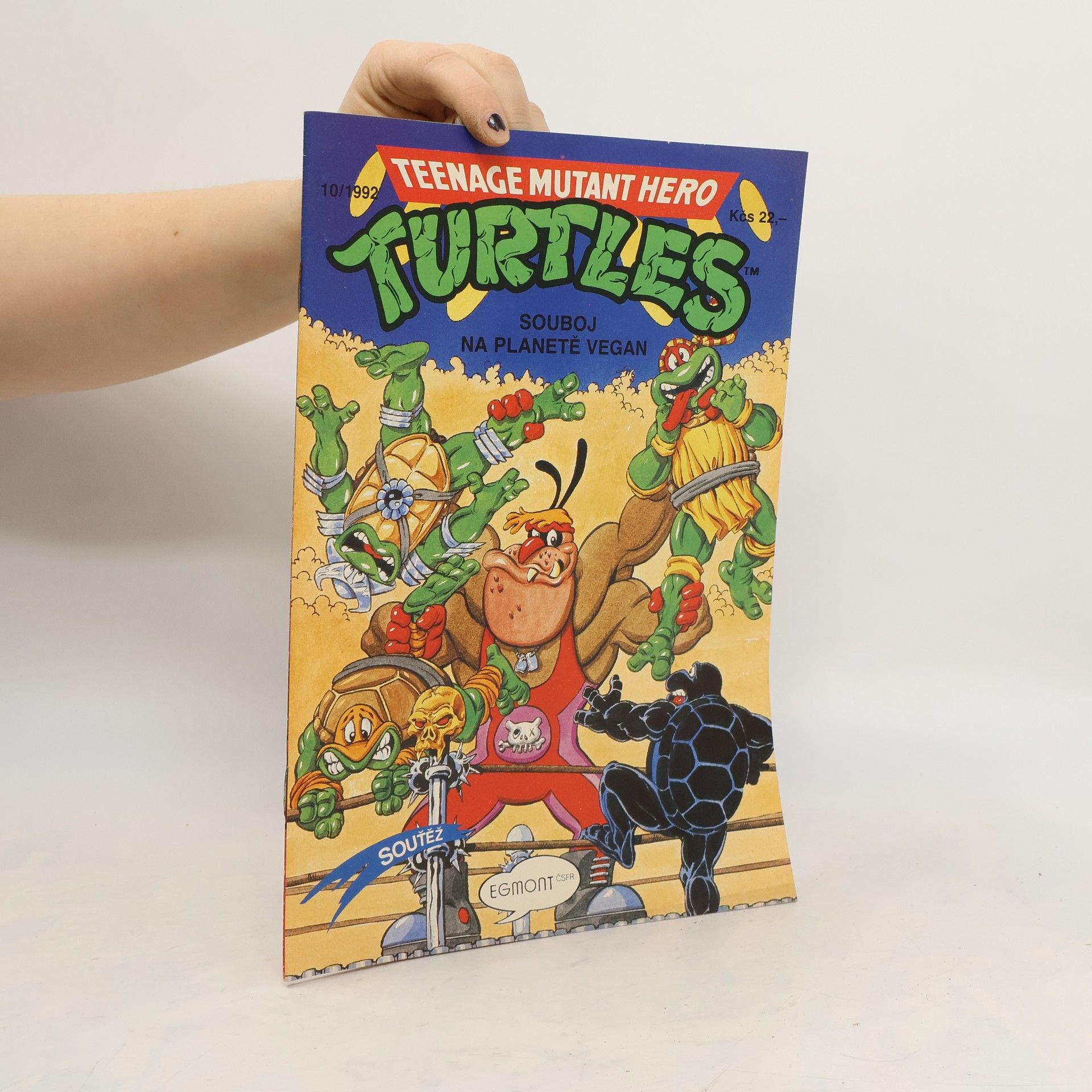 Teenage Mutant Hero Turtles #10