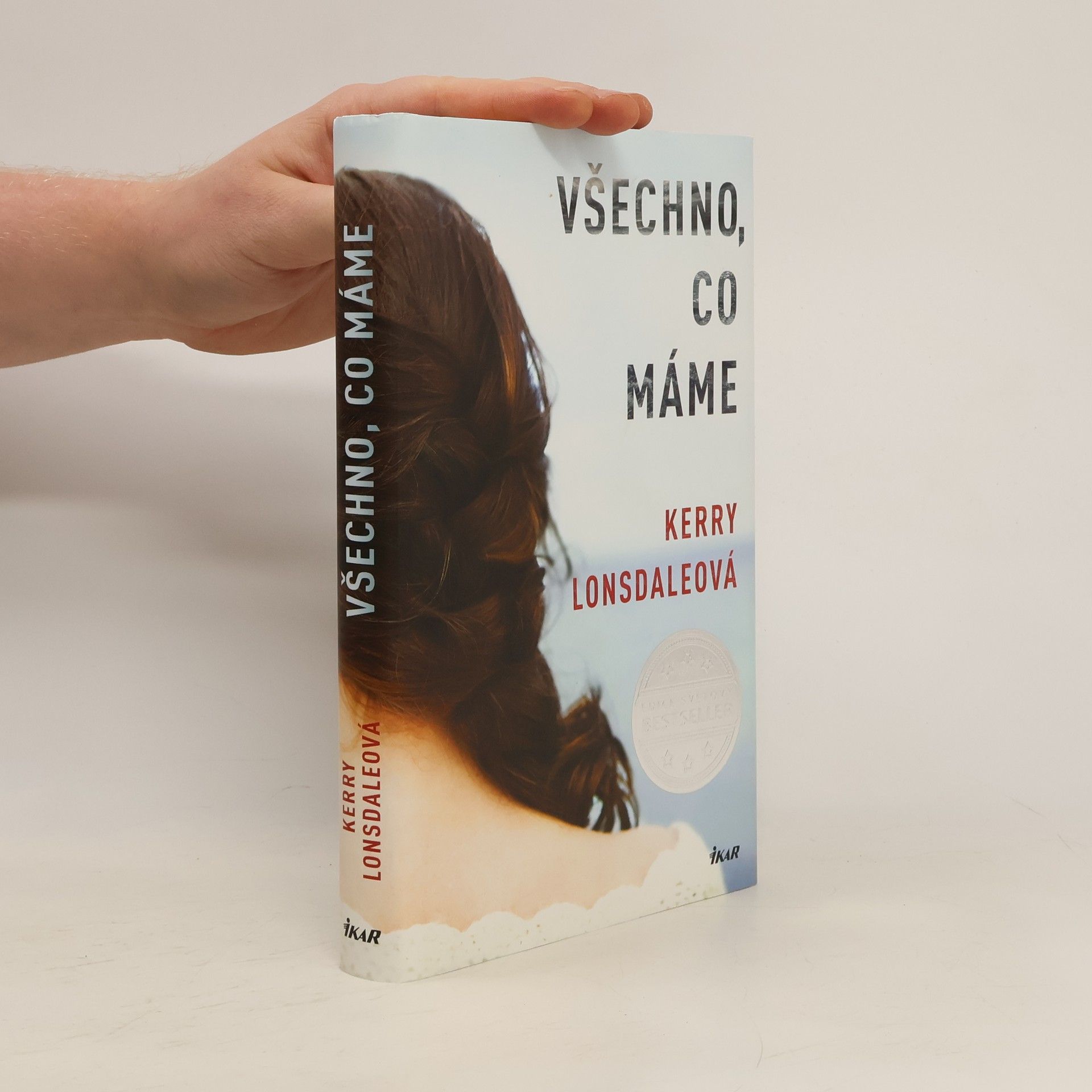 Kerry Lonsdale Všechno, co máme