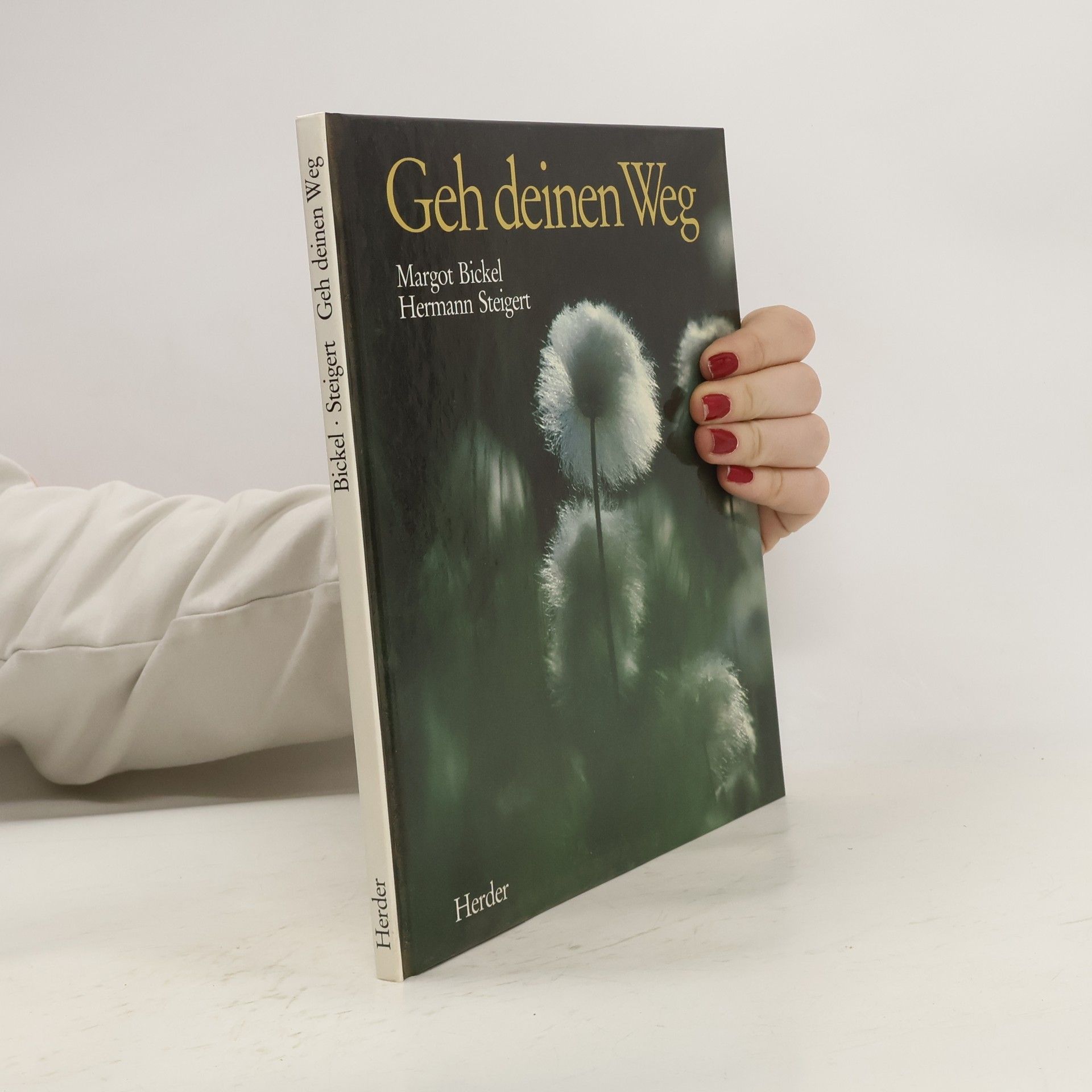 Margot Bickel Geh deinen Weg