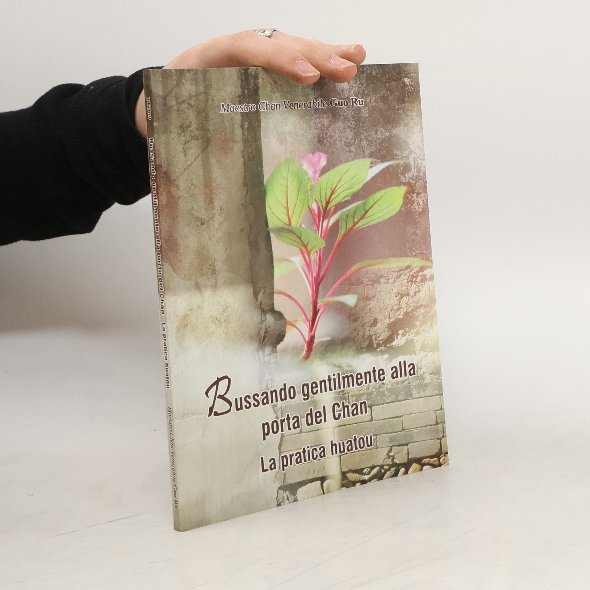 AA.VV. Bussando gentilmente alla porta del Chan