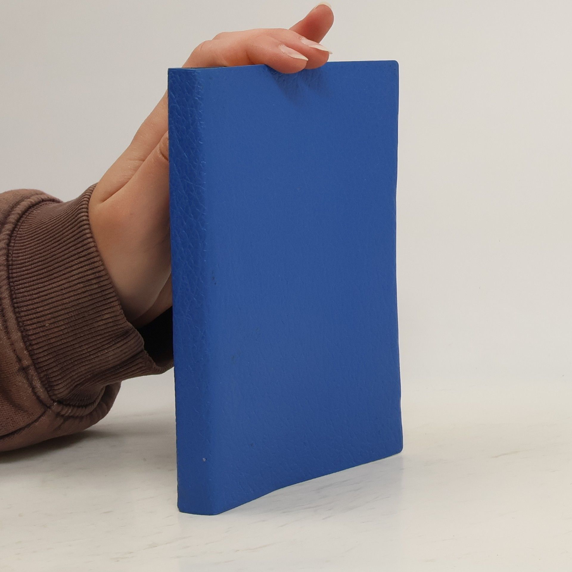 Kolektiv autorů Nový Zákon Pána a Spasitele našeho Ježíše Krista. Text kralický z roku 1613 podlé původního textu opravený