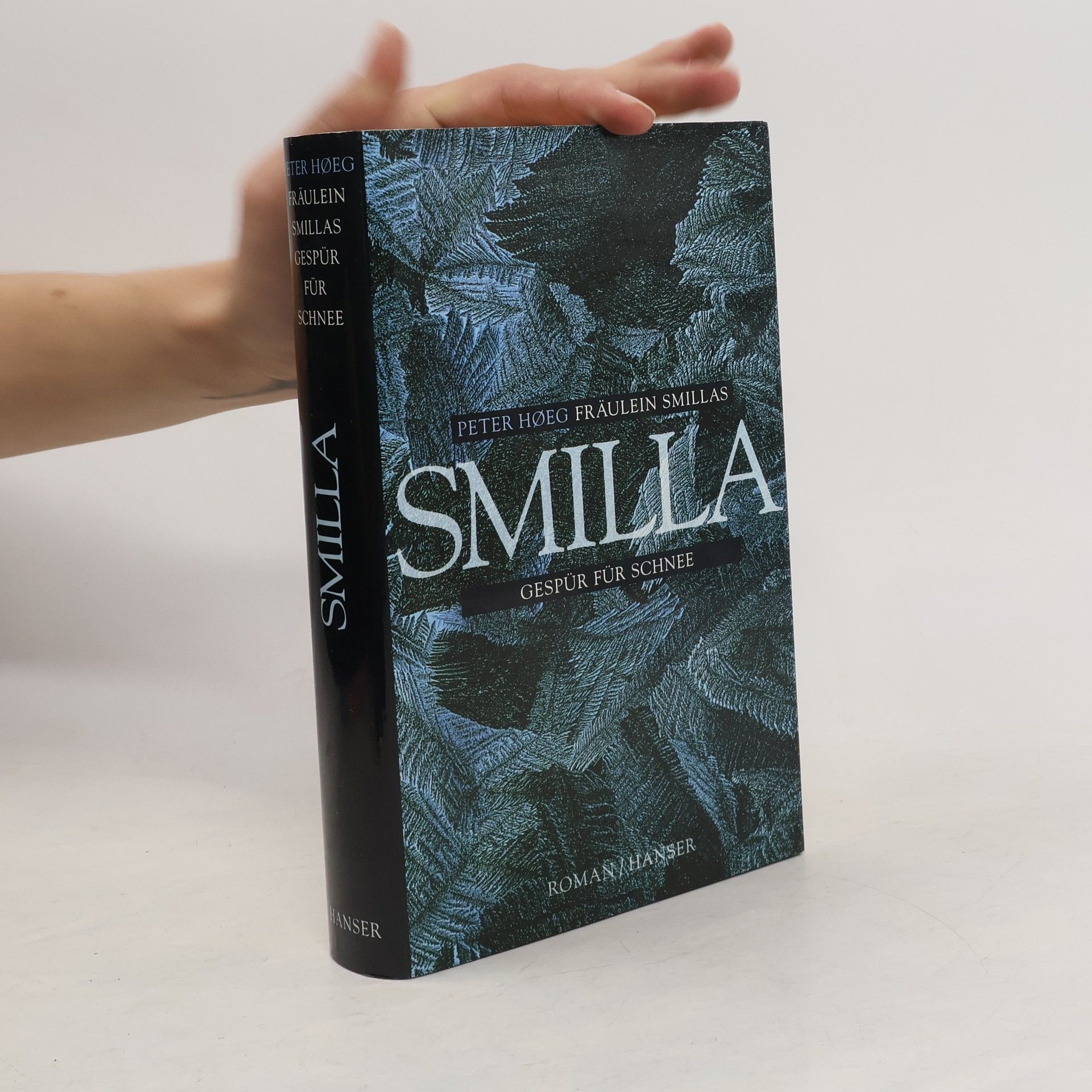 Fräulein Smillas Gespür für Schnee