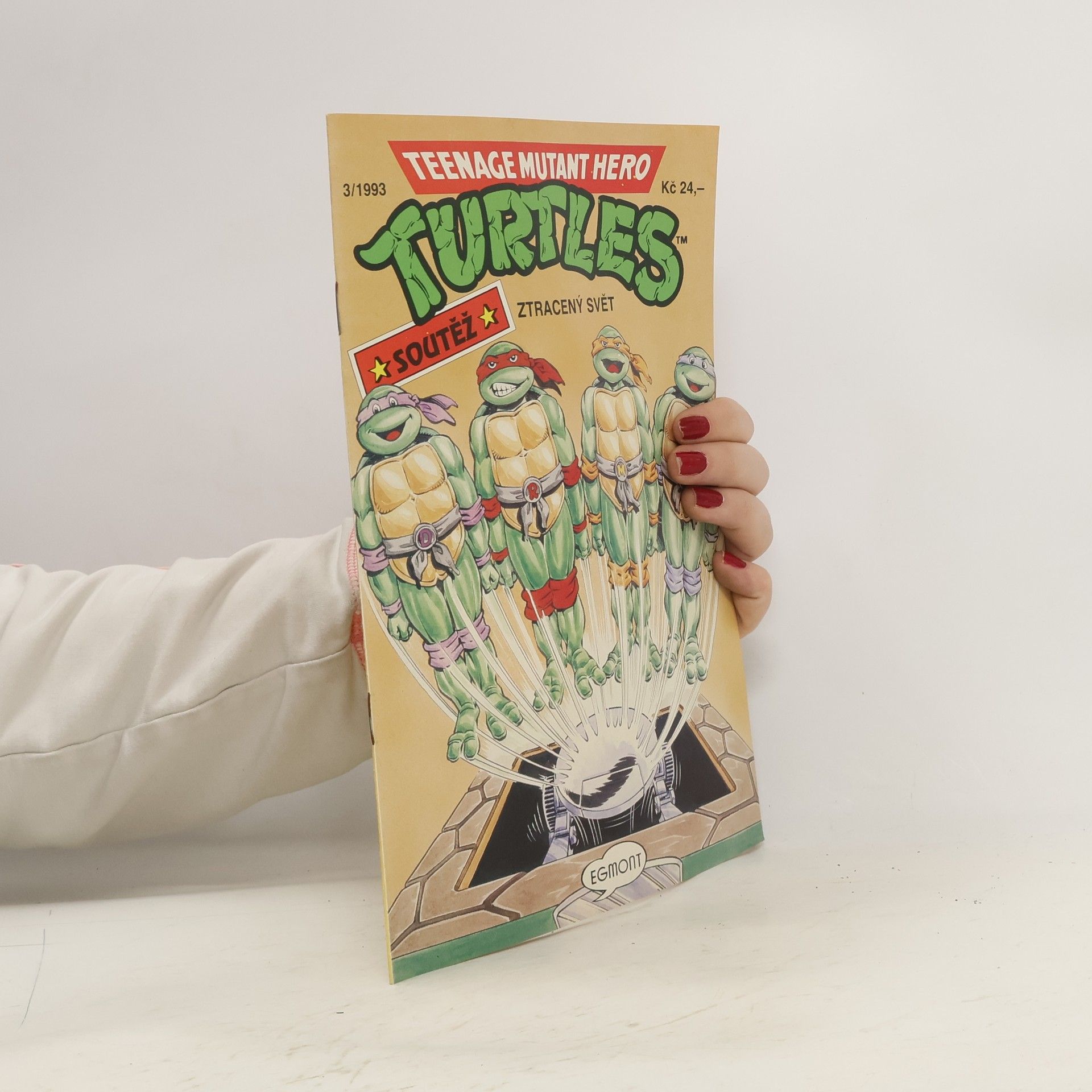 Kolektiv autorů Teenage Mutant Hero Turtles. Ztracený svět č. 3/1993