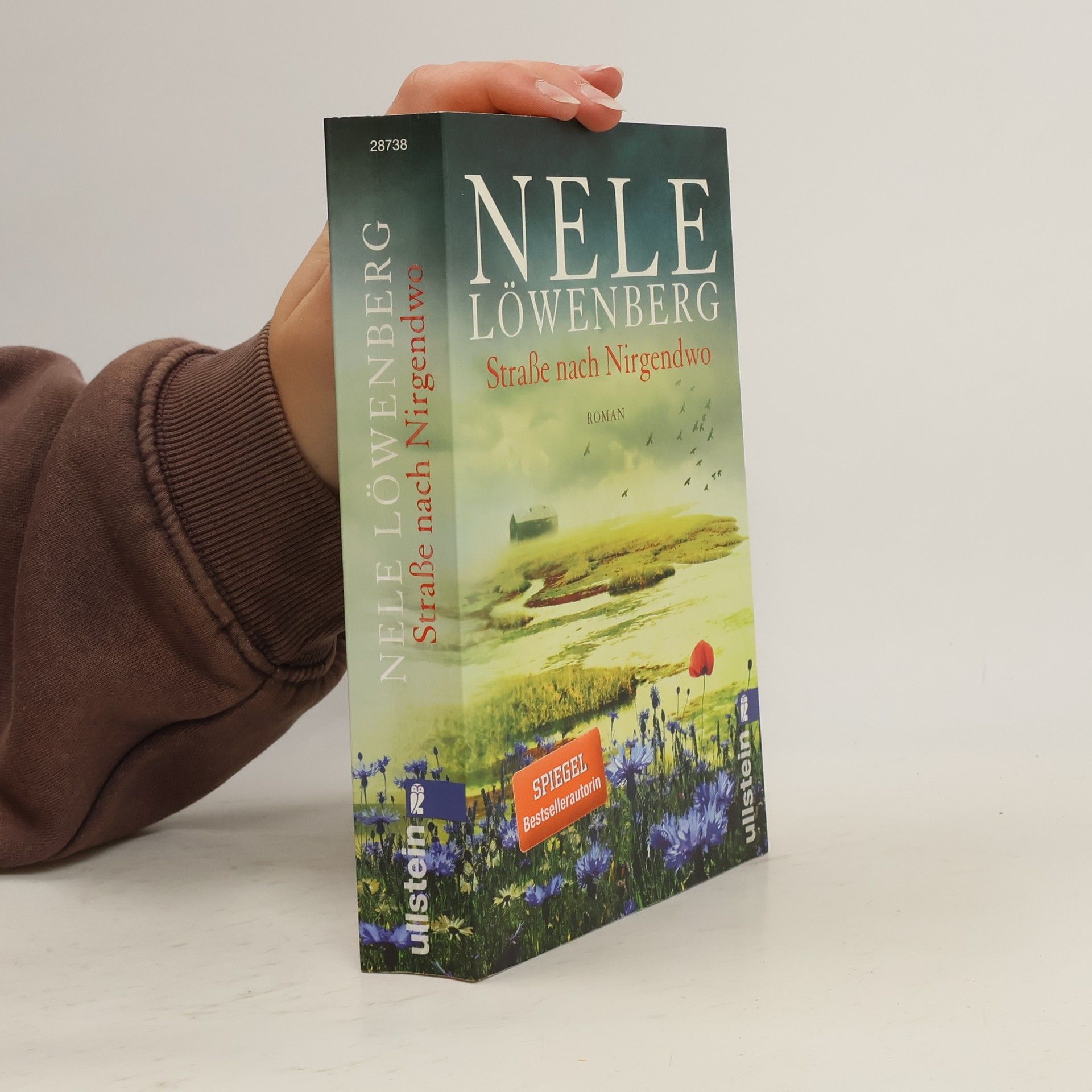 Straße nach Nirgendwo