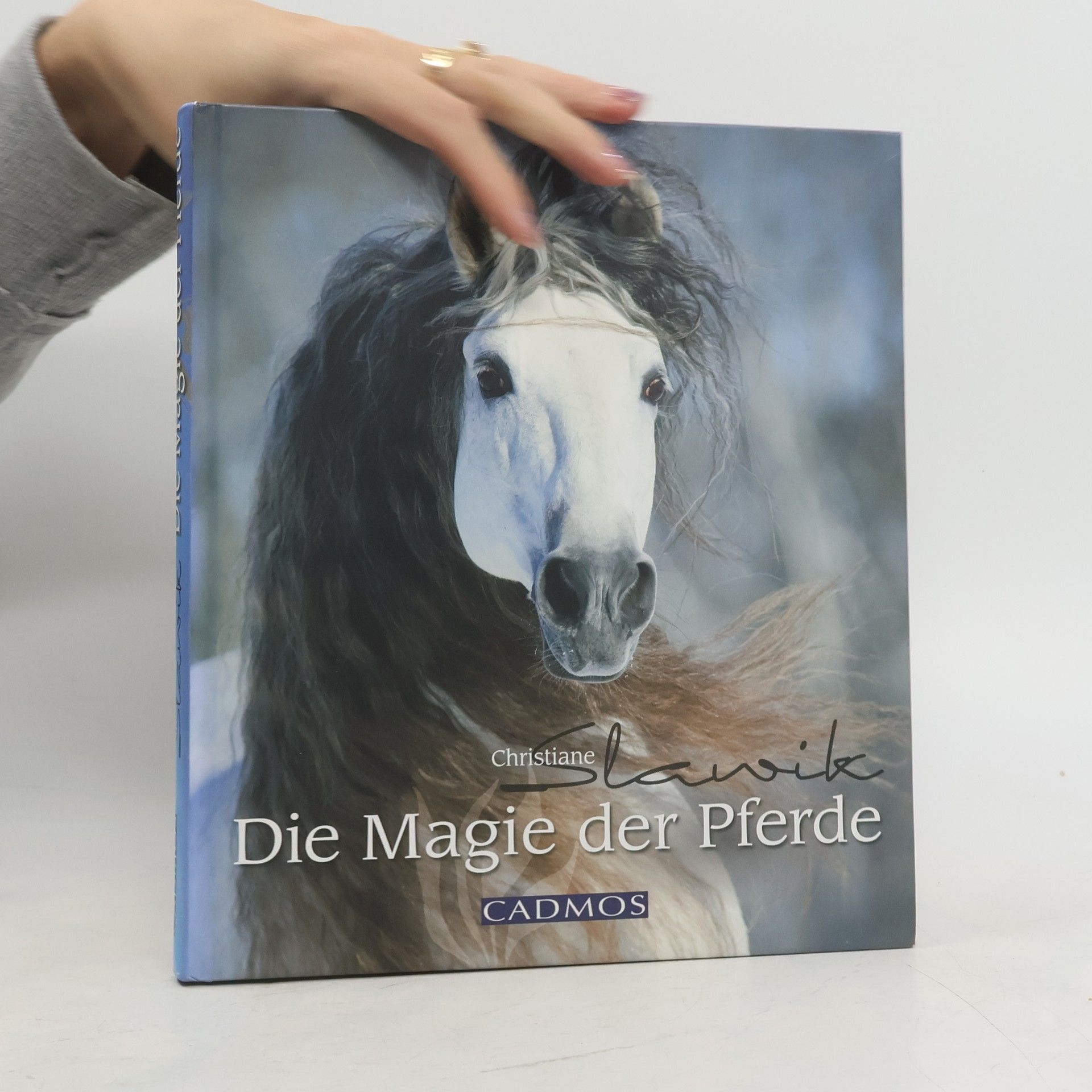 Christiane Slawik Die Magie der Pferde