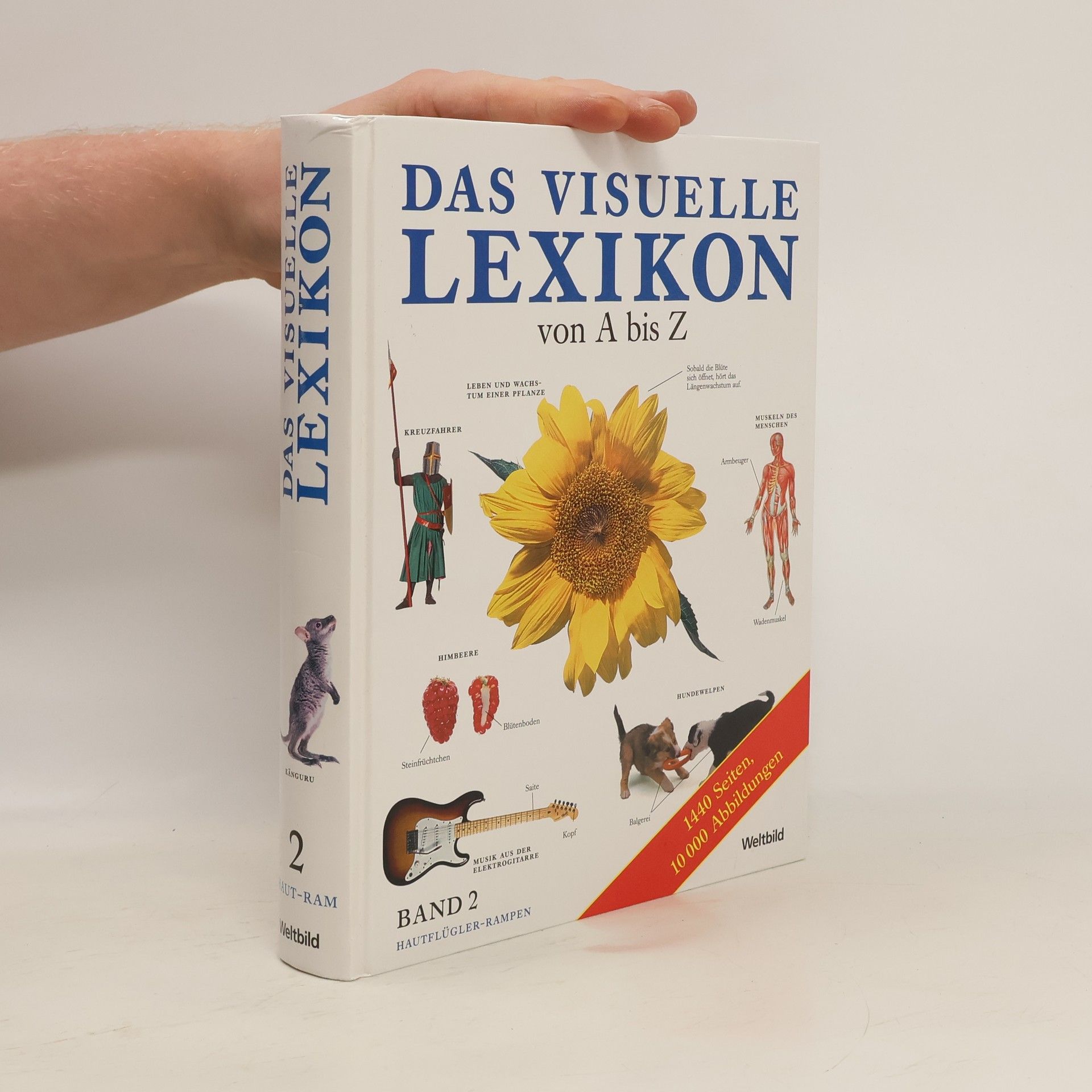 Autorenkollektiv Das visuelle Lexikon von A bis Z 2