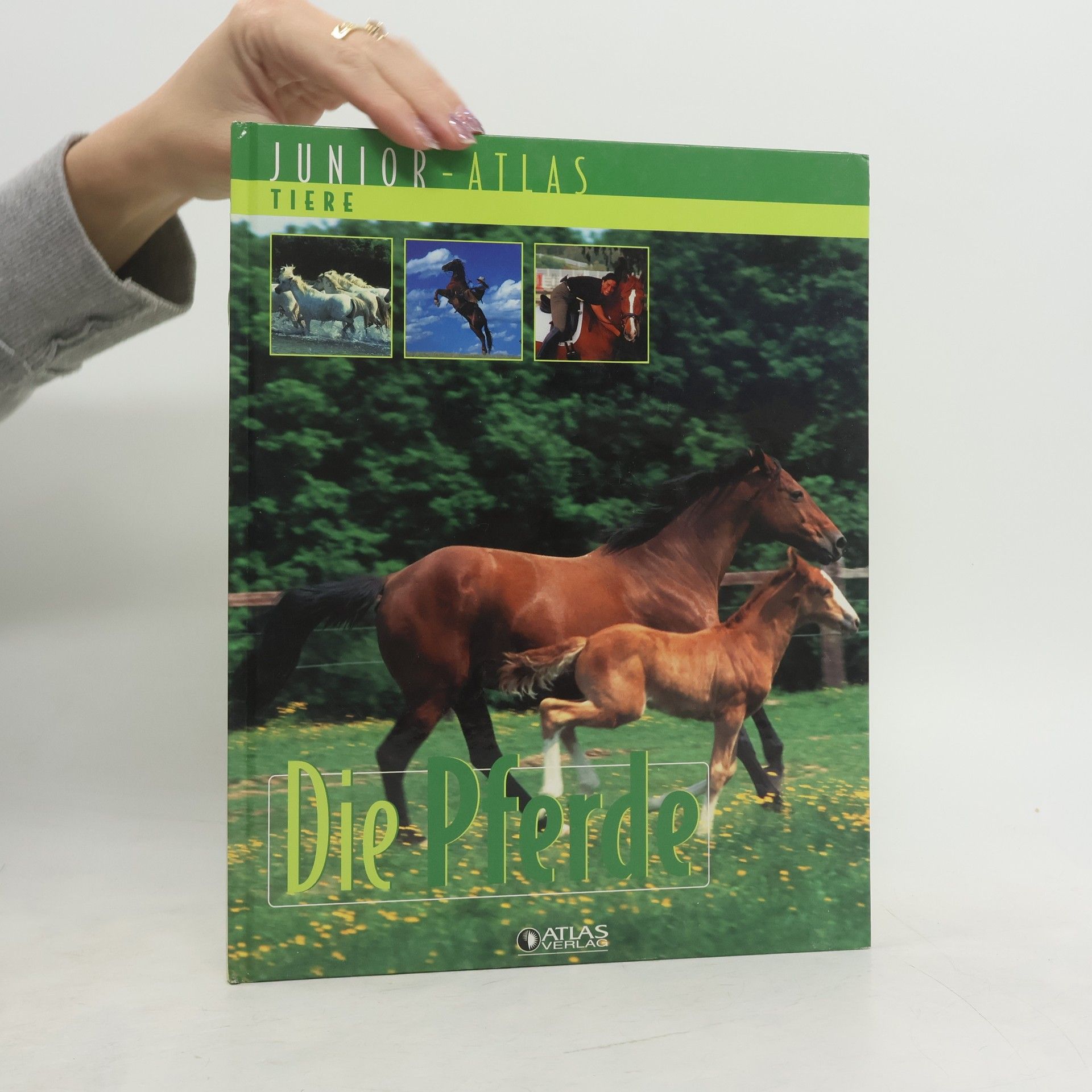 Kolektiv autorů Die Pferde