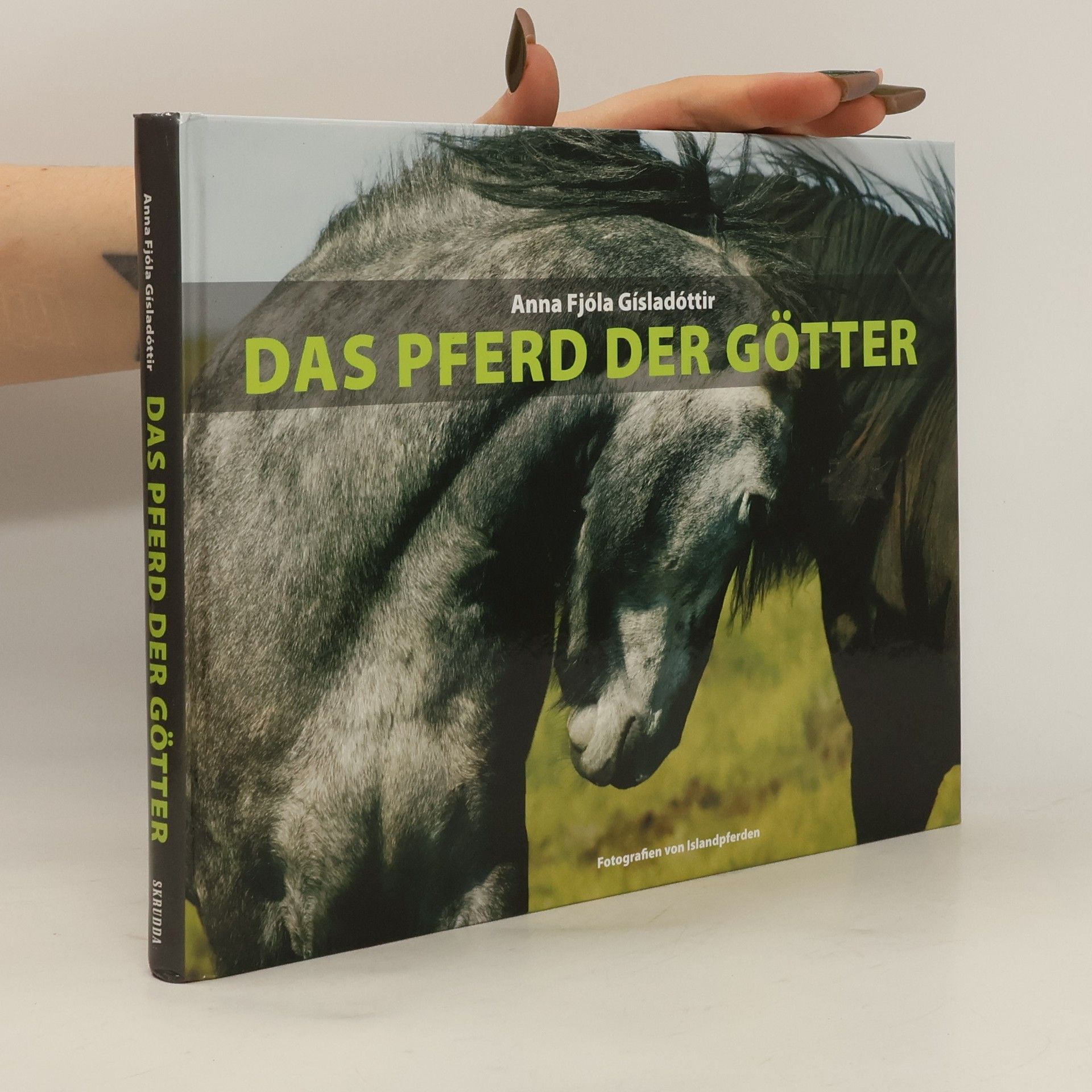 Anna Fjóla Gísladóttir Das Pferd der Götter