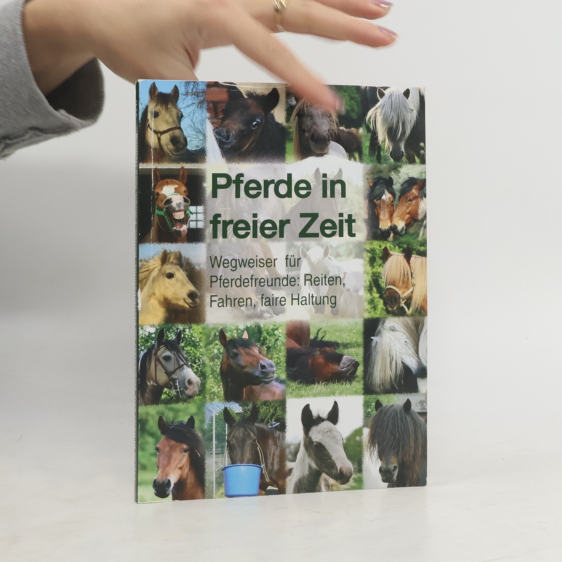 Collectif d'auteurs Pferde in freier Zeit