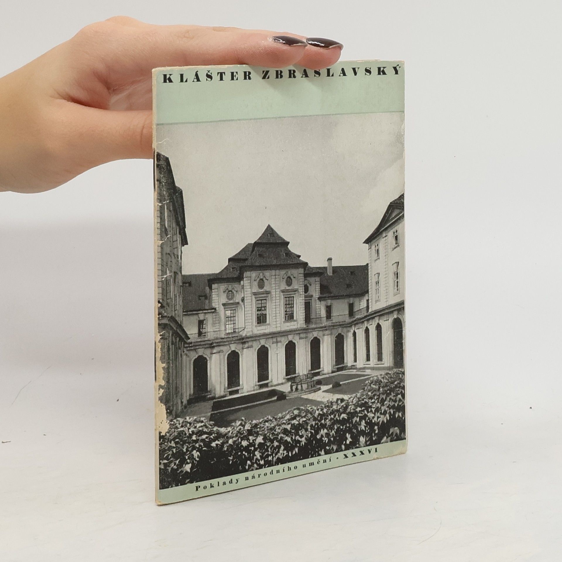 Vladimír Novotný Klášter zbraslavský