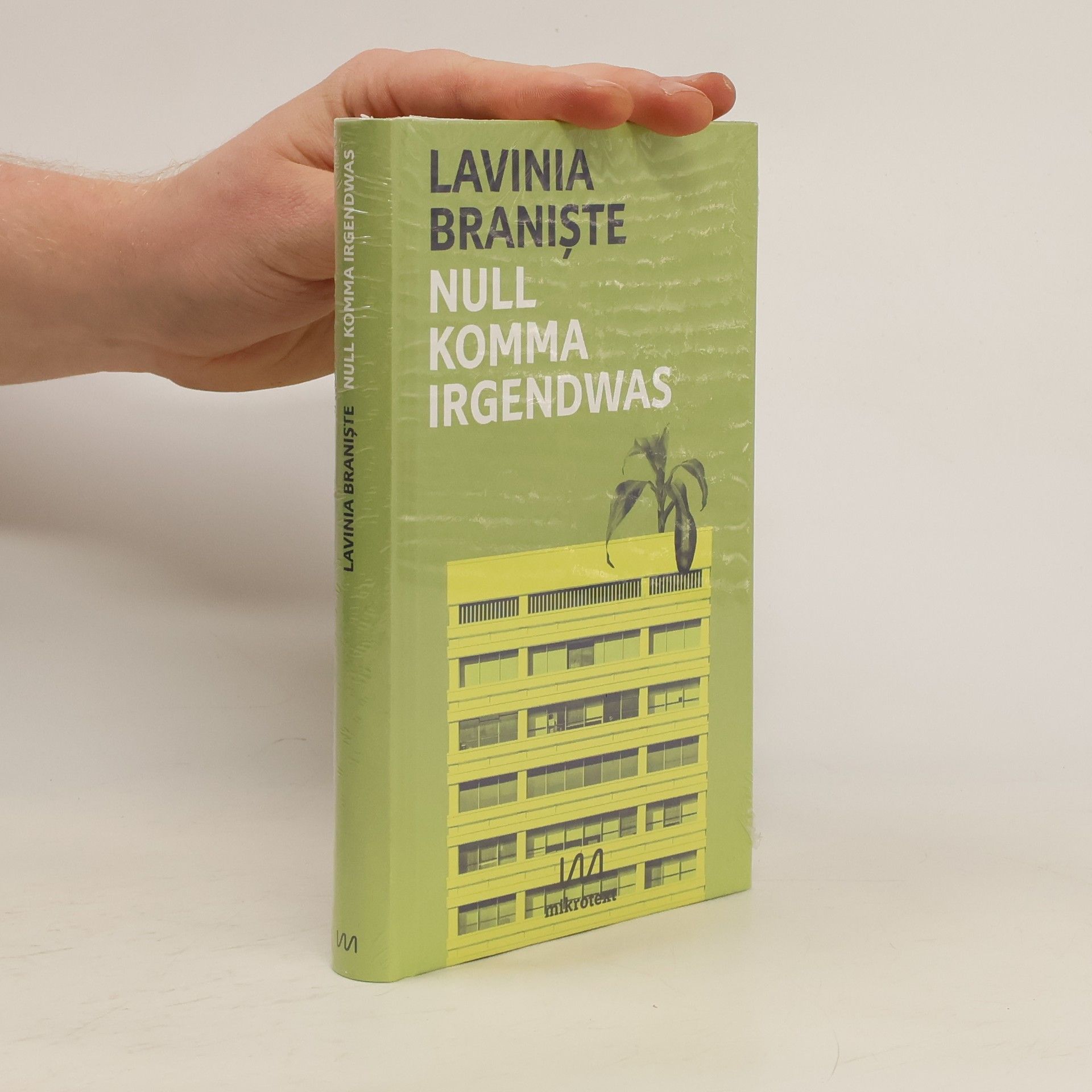 Lavinia Branis te Null Komma Irgendwas