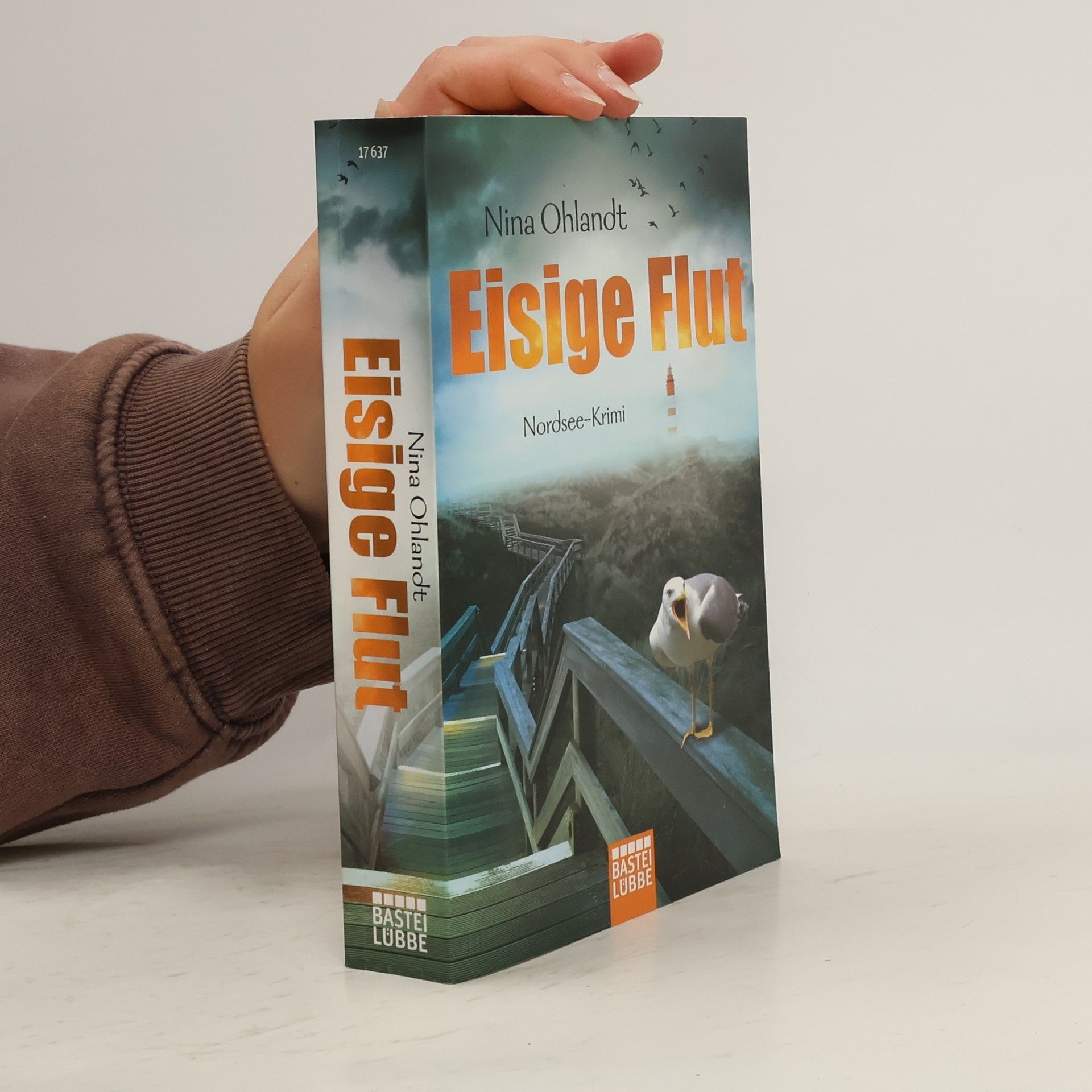 Nina Ohlandt Eisige Flut