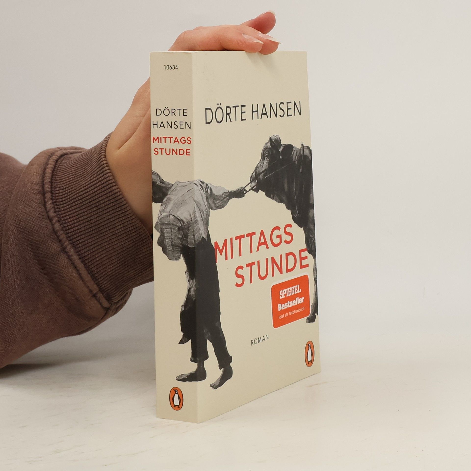 Dörte Hansen Mittagsstunde