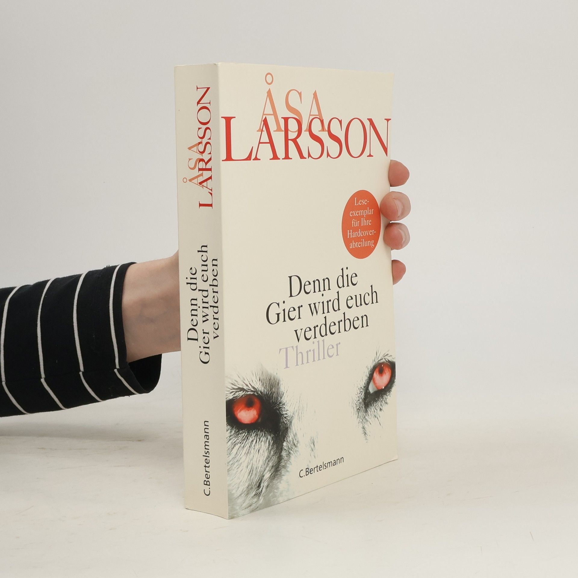 Åsa Larsson Denn die Gier wird euch verderben