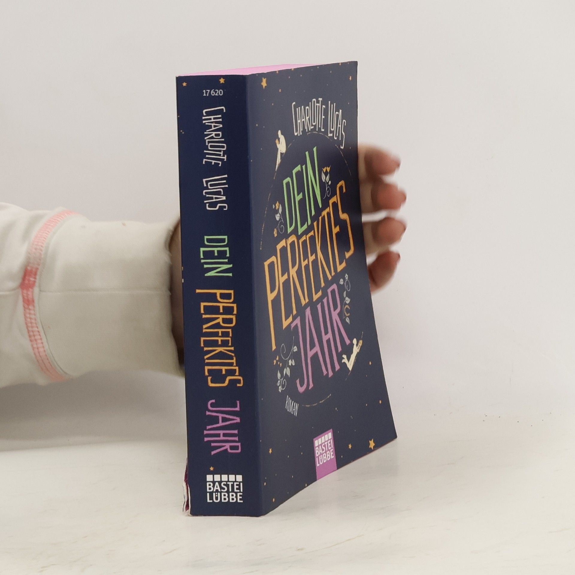 Charlotte Lucas Dein perfektes Jahr