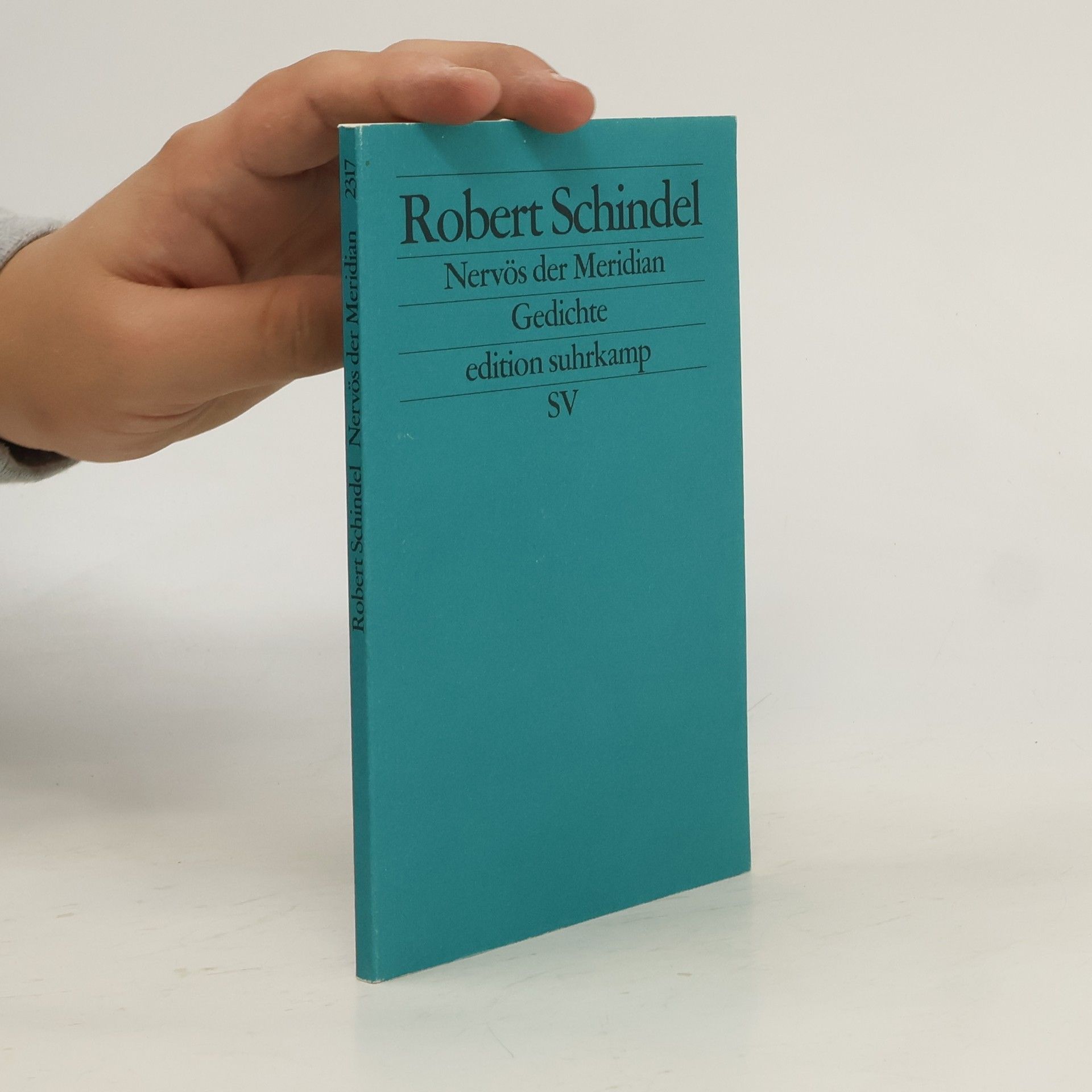 Robert Schindel Nervös der Meridian