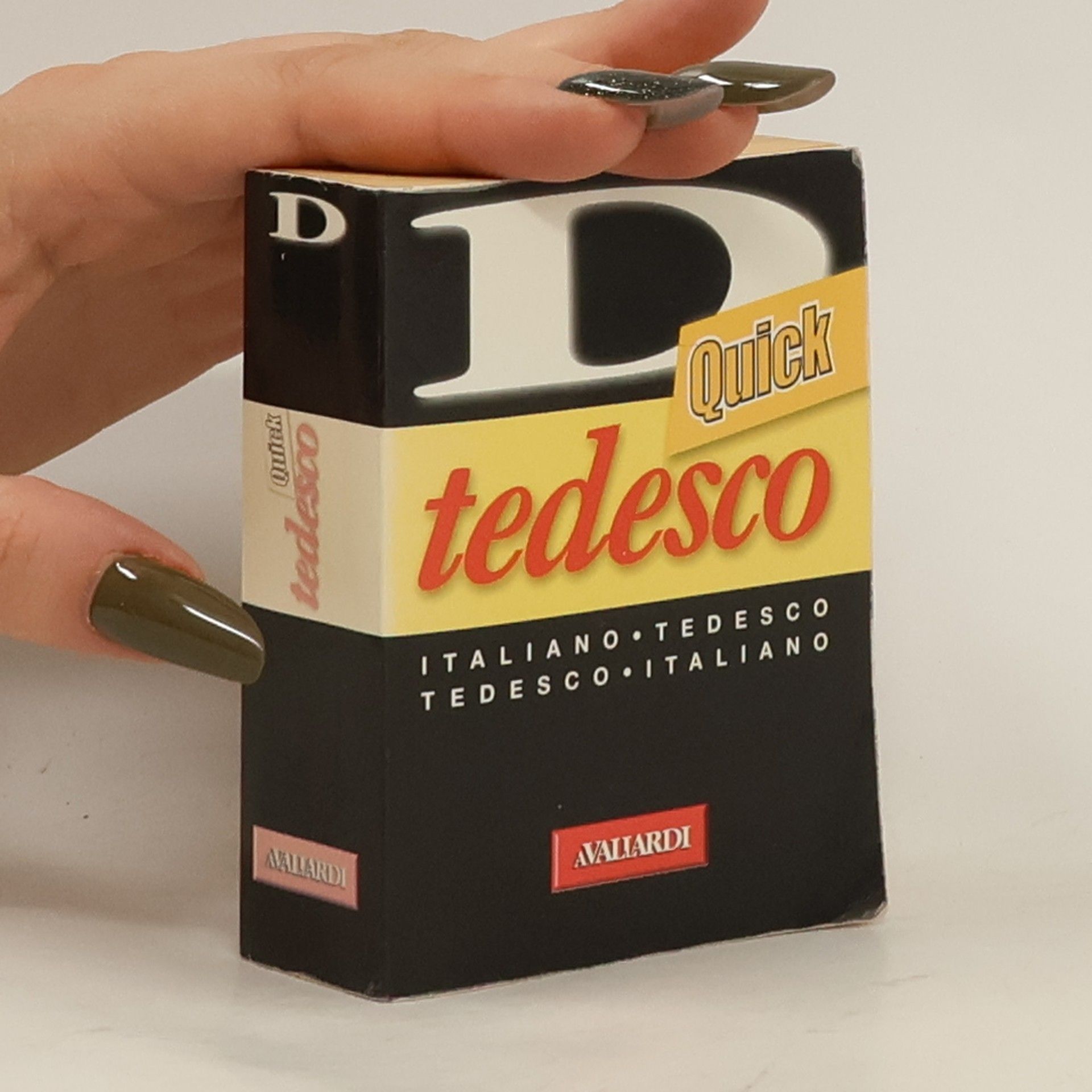 Erica Pichler Dizionario tedesco