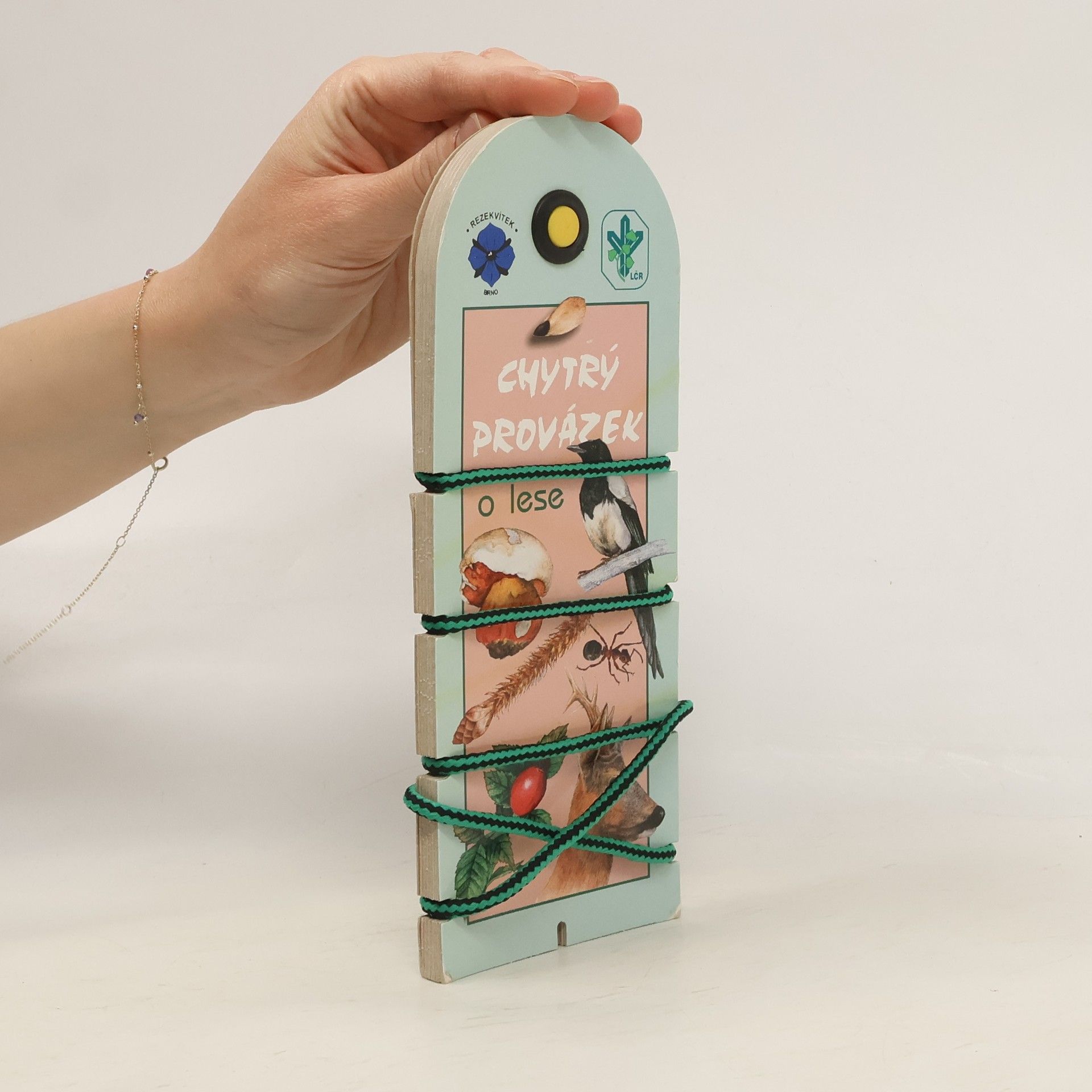 Collectif d'auteurs Chytrý provázek