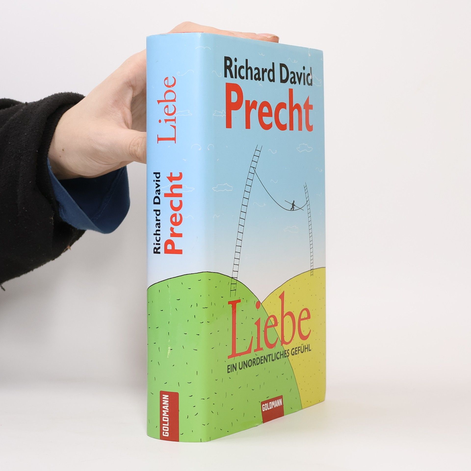 Richard David Precht Liebe ein Unordentliches Gefühl