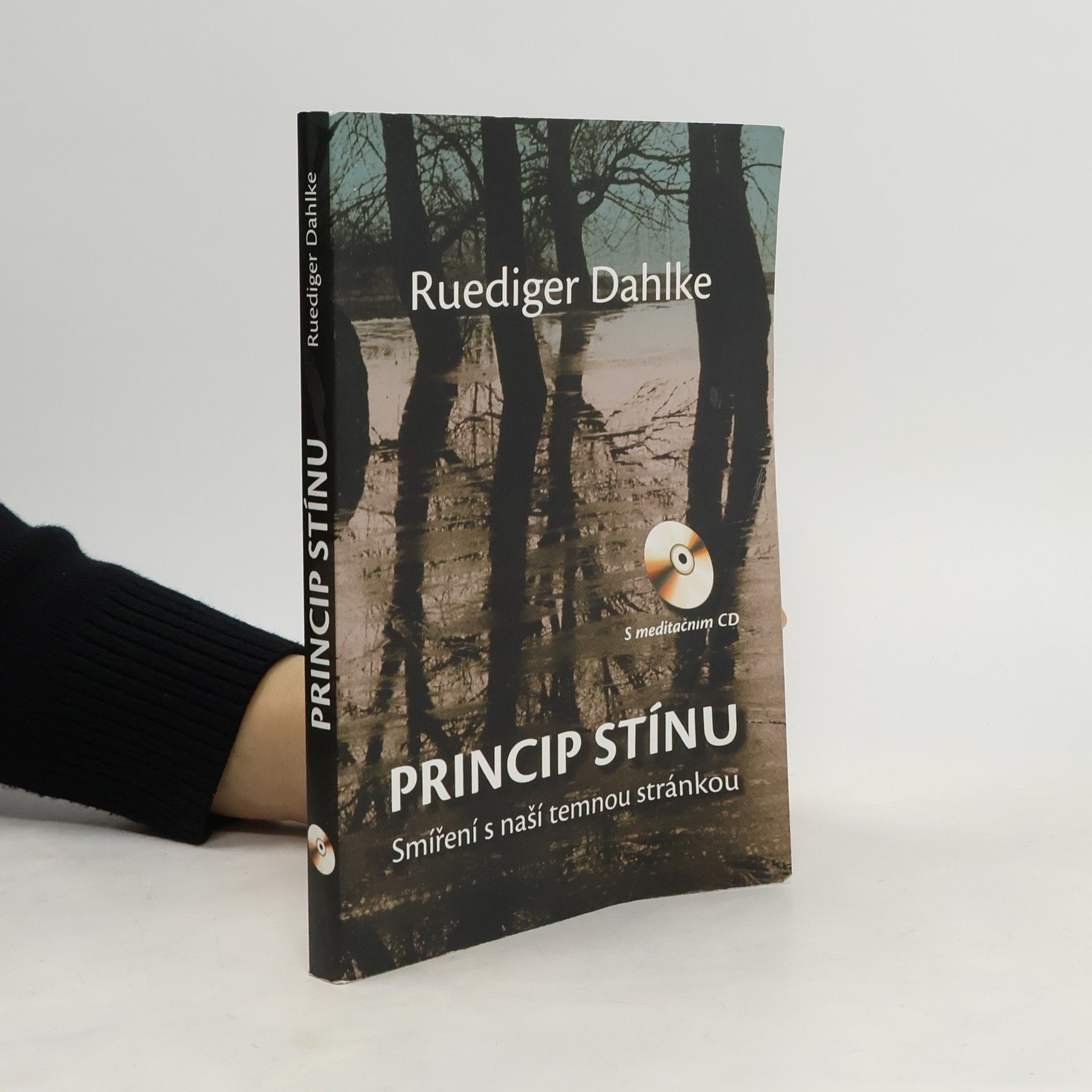 Princip stínu: Smíření s naší temnou stránkou