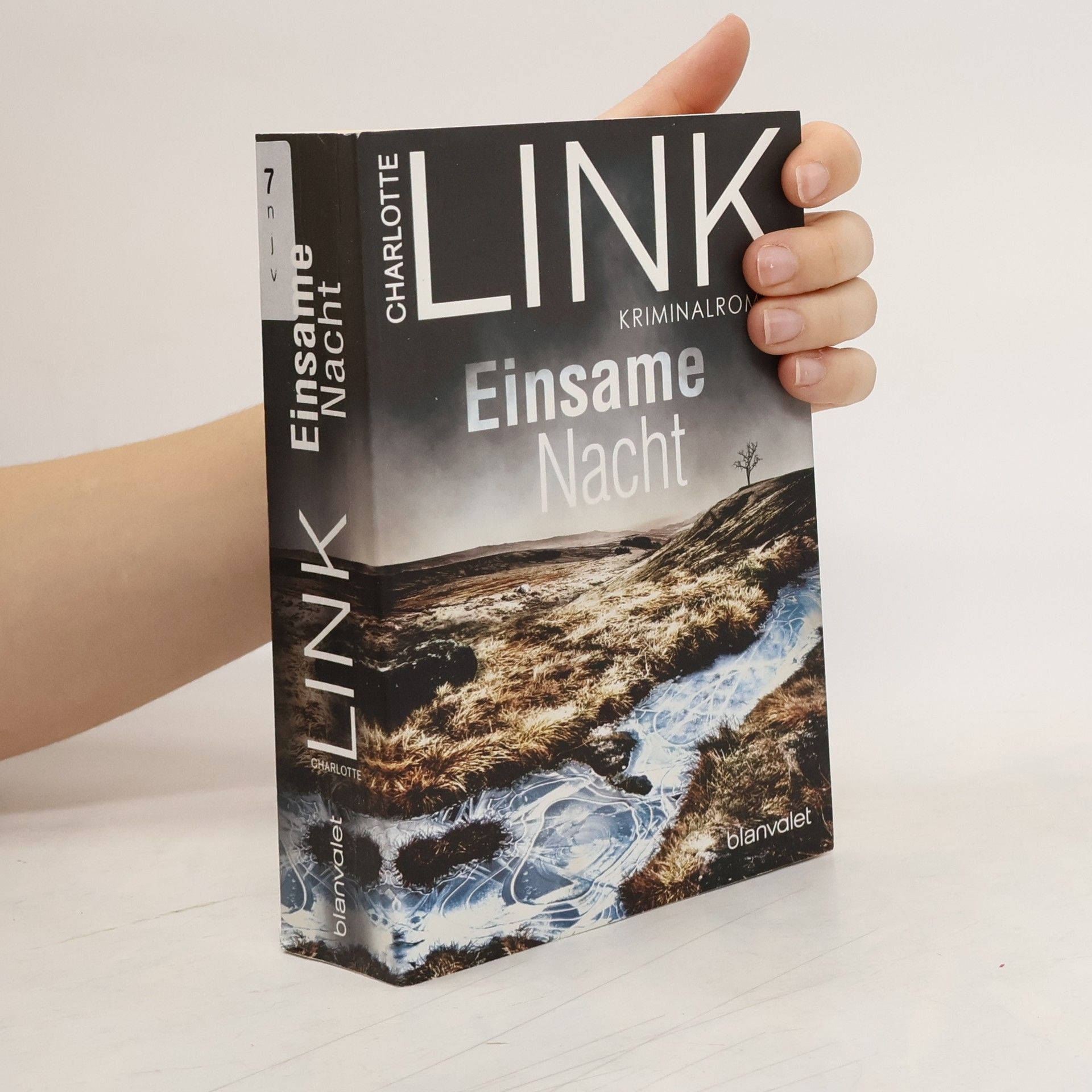 Charlotte Link Einsame Nacht